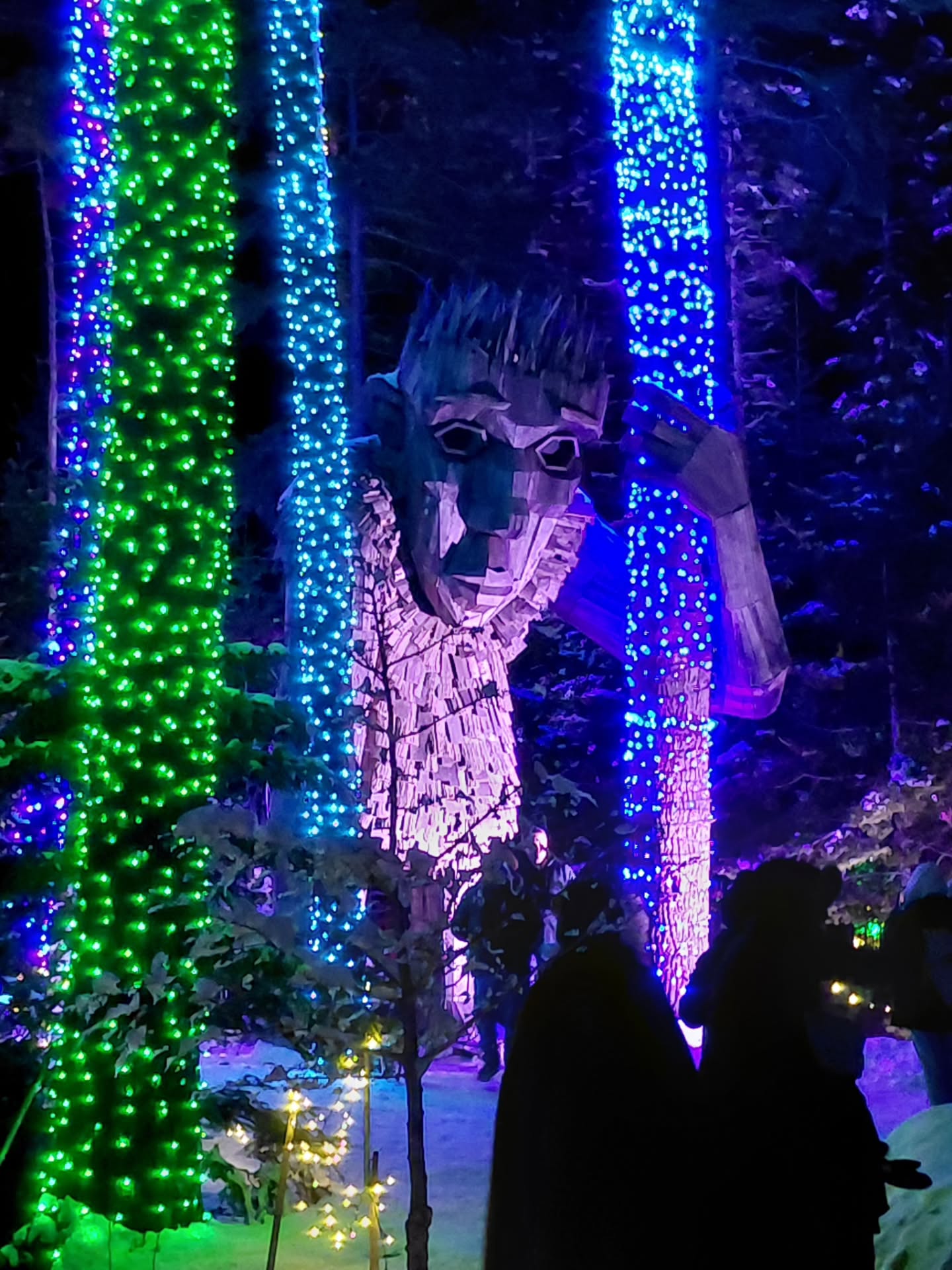 Finally got out to Gardens Aglow...I hadn't been there since the troll installation, which did not disappoint. #thomasdambo #spontaneoustale #coastalmainebotanicalgardens #boothbay