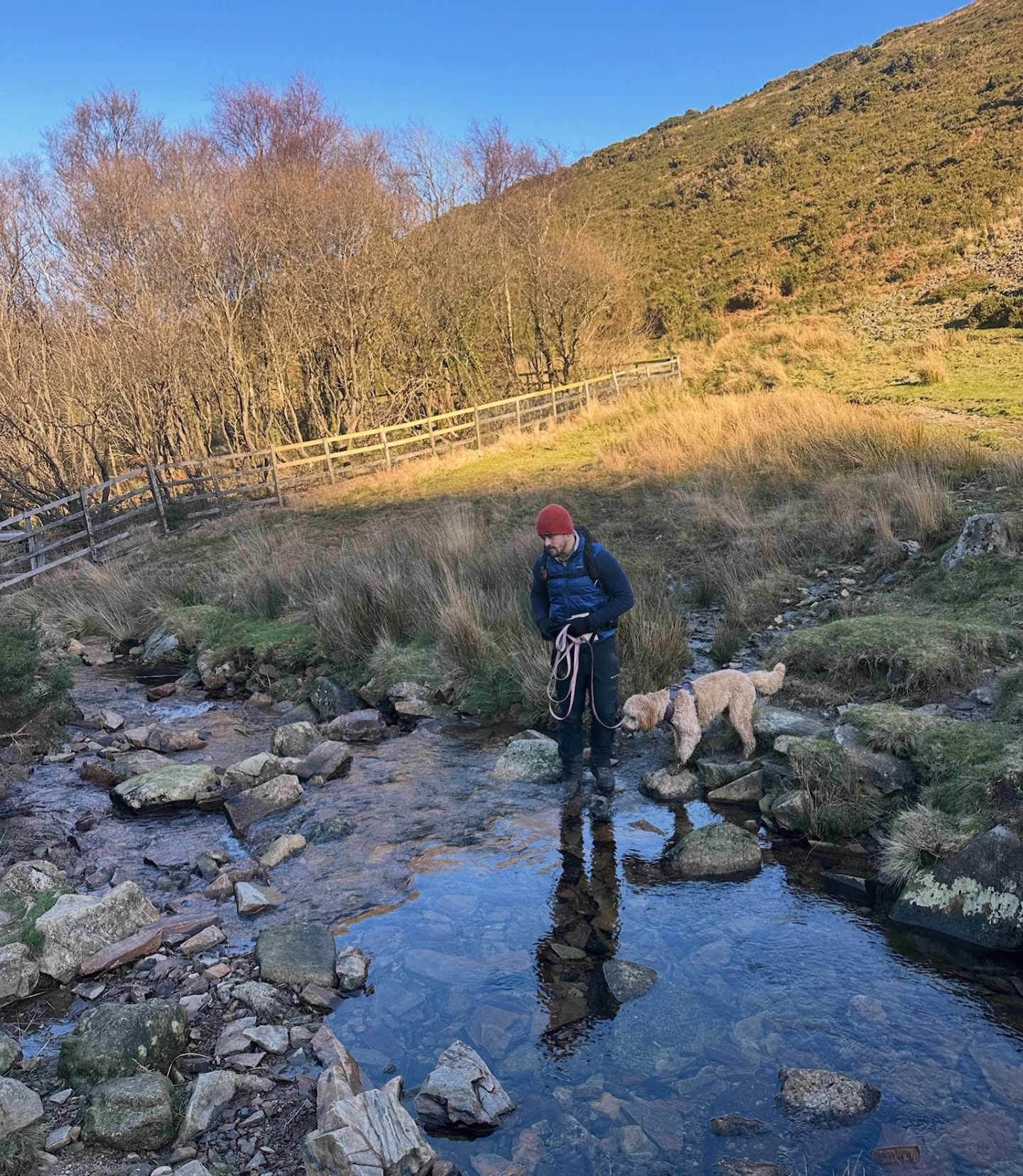 Heading out with Willa on her first Dartmoor walk, crossed a few rivers, made some friends and did some tracking at night! Always amazing seeing her track, her first time at night so a max of 270m. 🌟💥🌔I the headed out for another session of night nav, not quite as successful with some silly blips including slipping on ice and sliding for about 10m (which I redid as it was fun). ❄️❄️It’s why practice is so important, and why learning to nav on Dartmoor is so fantastic - when there is nothing in front of you but the same feature, having a good foundation of navigations and a even better micro nav is vital @mt_association @mountainequipment @mtntraining @patagonia @love_your_paws_dogtraining @montaneofficial #mountains #hikers #mountainleader #hikersofinstagram #adventure