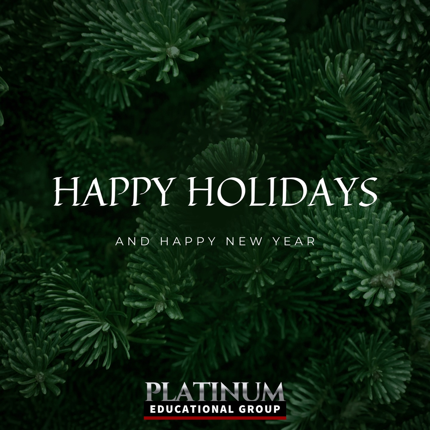 Warm holiday wishes from everyone at Platinum Educational Group. May your season be filled with joy, success, warmth, and happiness. #happyholidays #seasonsgreetings
