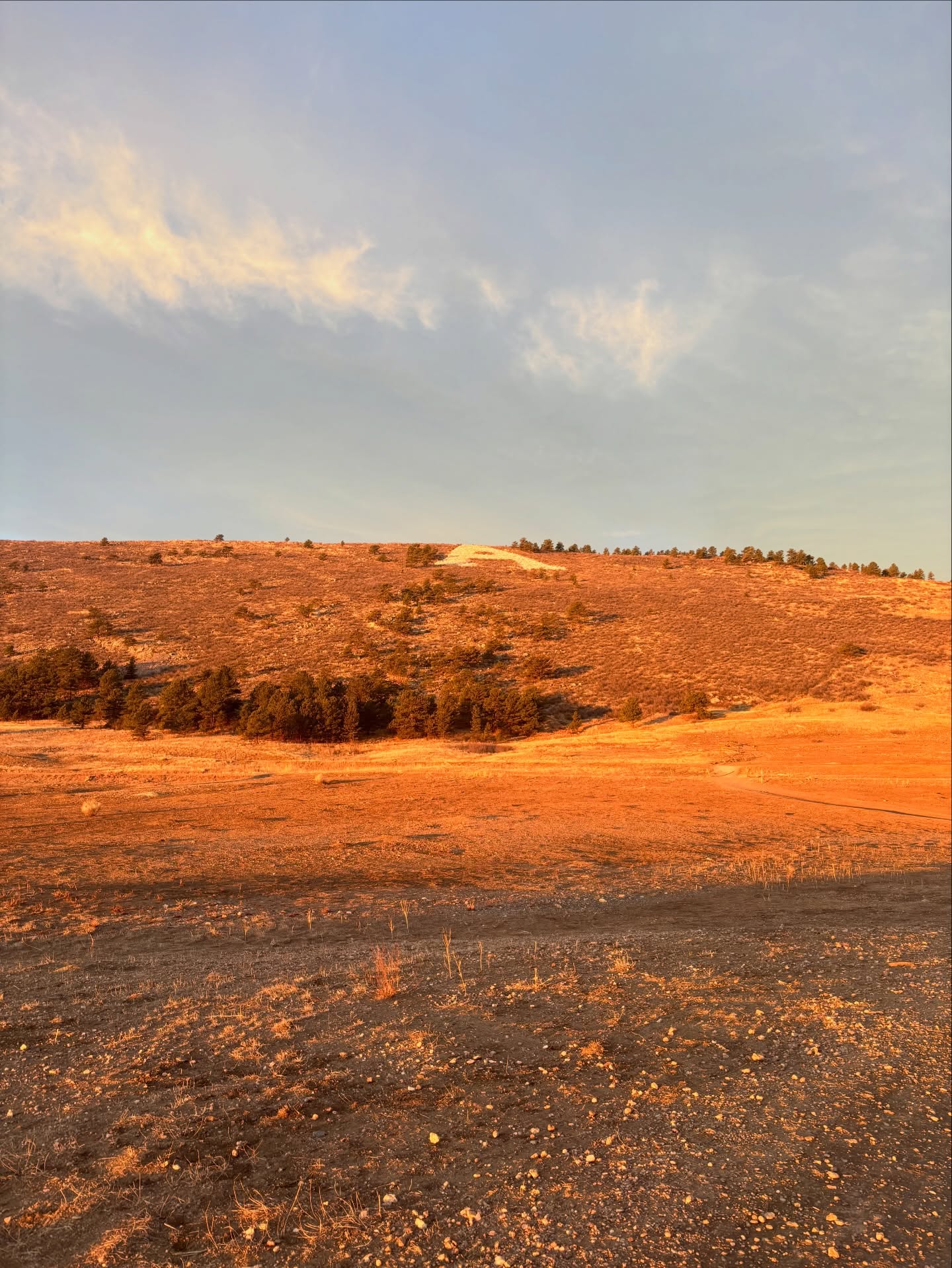Nothing less than a #fortcollins classic, the A. We went right at the golden hour today, and got a nice view of the city this morning!
Time: 1:18
Distance: 3.9 miles (6.28km)
Trail: Maxwell Natural Area, The A
#nature #colorado #hiking #mountains