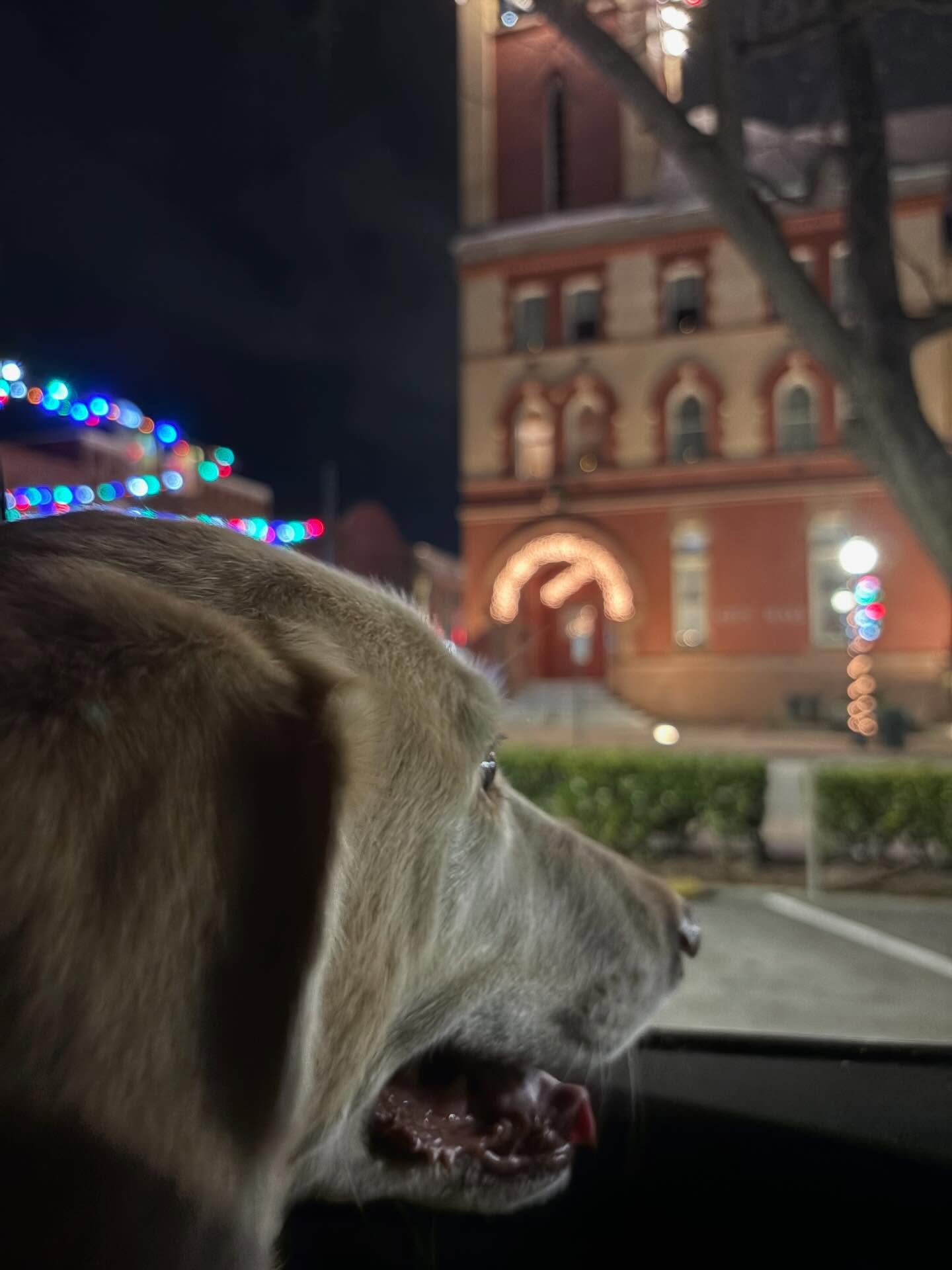 I hope everyone had a very Merry Christmas and got everything you asked for. Gabby wanted to ride and look at the lights, so she’s a happy girl tonight. While we were out, we saw several NBPD personnel. It was a nice reminder that our first responders serve and protect 24/7/365. Thank you! 🙏🏻