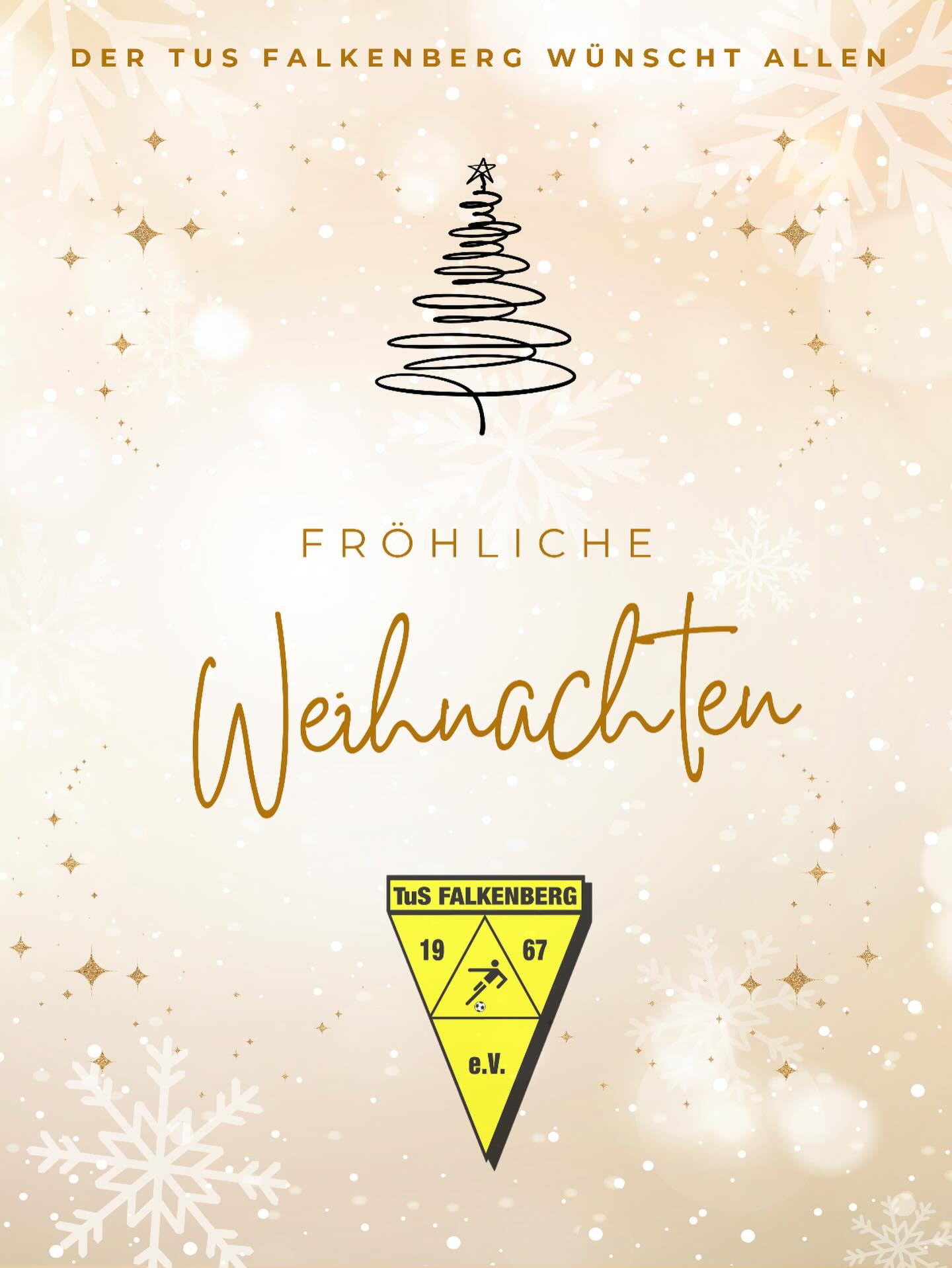 Wir wünschen euch allen eine schöne und besinnliche Zeit!
Euer TuS Falkenberg 🎄