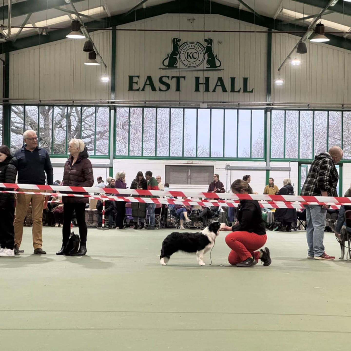 🇬🇧 Show news from the UK!
Ashbourne & District Canine Society – Open Show
Our beautiful Gaara
Unleashed Borders Dress to Impress 🦭
lovingly handled by her aunty Klara 💖
🥈 2nd in Puppy Class
🥉 3rd in Yearling Class
We are so proud of this young lady!Sending kisses from the other side of the world 🤣💫
