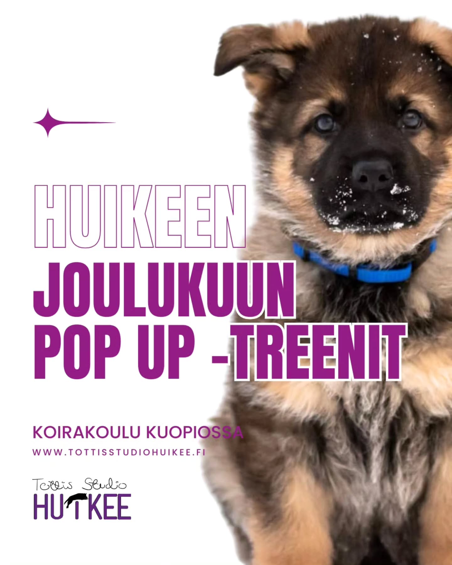 💜 HuiKeen POP UP-treenit 💜
Irtotreenejä tarjolla! Nämä treenit on sinulle, joka et voi sitoutua pidempiin kursseihin tai haluat tulla tutustumaan halliin, meihin tai eri lajeihin 😍 Treenit HuiKeen hallilla osoitteessa Telkkistentie 6, 70460 Kuopio.
🟣 Treeneissä pääset harjoittelemaan erilaisia tehtäviä treenin aiheen mukaisesti. Nämä treenit sopii kaikille koirakoille niin arjenaktivointiin kuin harrastuskoirien häiriö/lajiharjoitteluna riippuen ryhmästä. Treenit sopii kaiken ikäisille ja rotuisille koirille aloittelijoista kokeneempiin, jos treenin perässä ei ole erikseen muuta mainittu! Meillä kaikki harjoitukset tehdään sekä muokataan osallistuvien koirakoiden tason ja tavoitteiden mukaan.
🟣 Treeneissä koirat treenaa yhtäaikaa ja tarvittaessa sekä kerran aiheen mukaan voidaan hallia/tilaa rajata. Nämä treenit toimivat siis myös hyvänä häiriöharjoitteluna. Huolehdithan kuitenkin, että koiran rokotukset tulee olla voimassa.
✨️ JOULUKUUN TREENIT ✨️
SUNNUNTAINA 28.12
💜 klo.15.15-15.55 - Pentutreffit
💜 klo.16-17 - Puuhatunti
💜 klo.17-18 - Arkitottis
⭐️ Paikkoja eri tunneille
⭐️ Myydään irtokertoina 25€/kerta
⭐️ Pieni ryhmäkoko takaa jokaiselle reilusti henkilökohtaista ohjausta!
Ilmoittautumaan pääset suoraan ajanvarausjärjestelmämme Slotin kautta. Alla on linkki sekä kotisivujemme kautta pääset Slottiin.
🟣 ILMOITTAUDU MUKAAN
https://slotti.fi/booking/tottisstudiohuikeeoy/#/
www.tottisstudiohuikee.fi
Tervetuloa mukaan! ❤️✨️