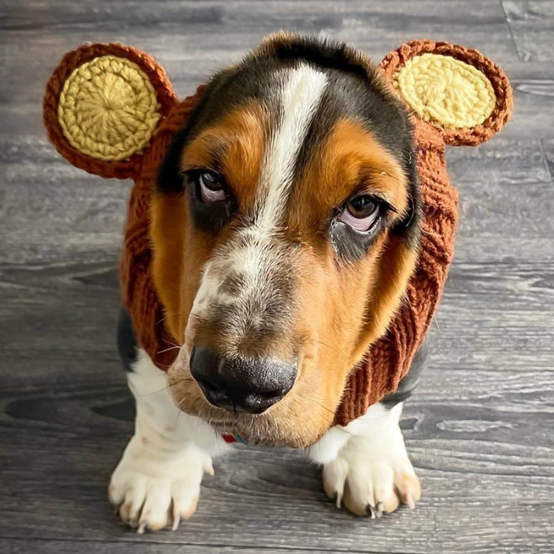 Your pup’s peace of mind during fireworks season is just a snood away! 🐶✨ With just a bit of training, these cozy accessories can help ease your dog’s anxiety. Stay prepared for New Year's Eve and give your furry friends the comfort they deserve! Link in Bio