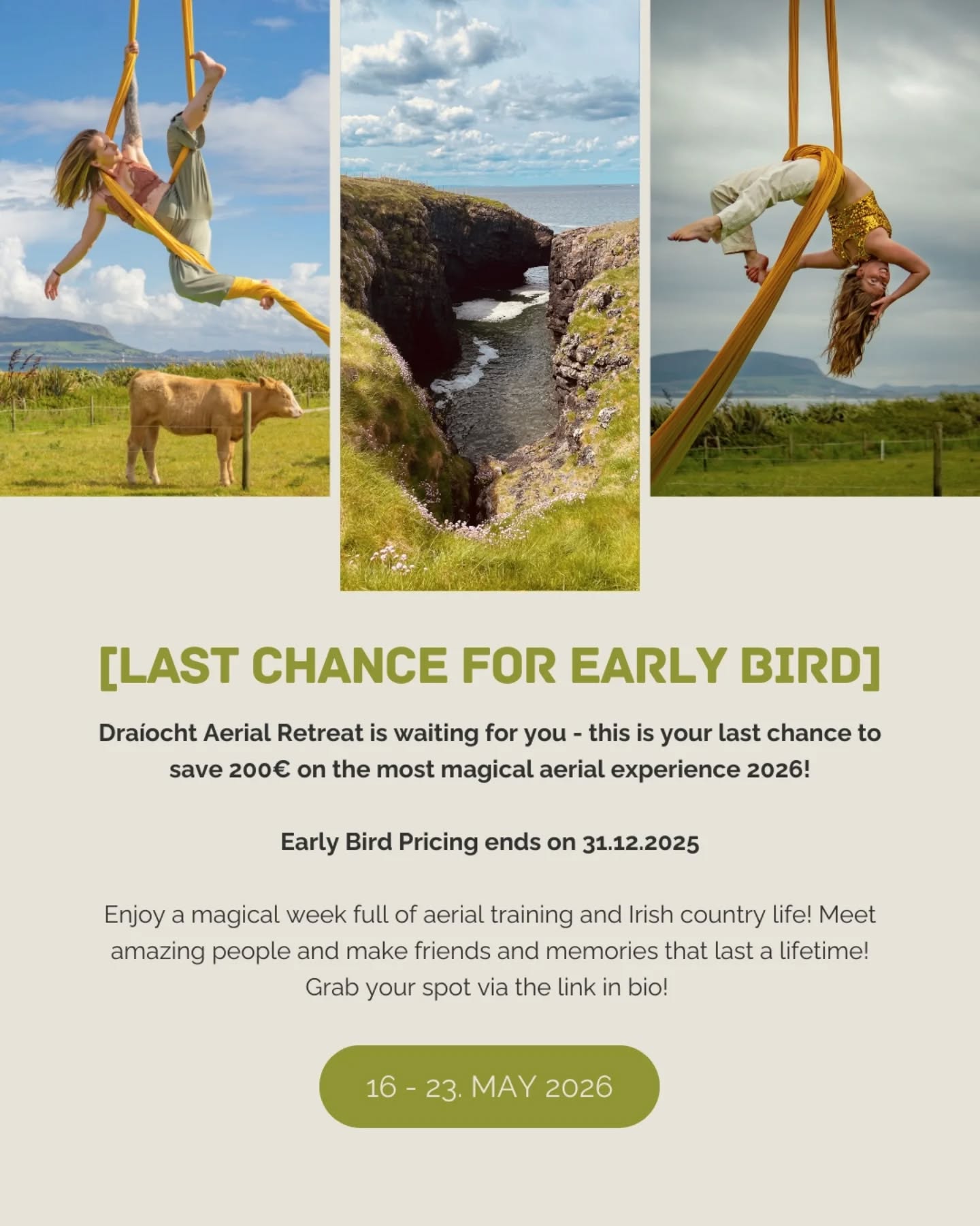 Last call — Early Bird pricing ends Dec 31 and this is your last opportunity to save €200. After that, it's full price only, so if your heart has been whispering “maybe this is for me”… now is the moment to listen.
⠀
Draíocht Aerial Retreat in Ireland is more than a traincation. It's practicing aerial silk in inspiring spaces, leveling up your skills and aerial game while being surrounded by nature, community, creativity and calm. This retreat is designed for growth, strength, softness and rediscovering the joy of movement — and of simply being.
⠀
If you’ve been waiting for a sign, this is it. Secure your place, step out of routine, and come fly with us in Ireland. 🌿💫