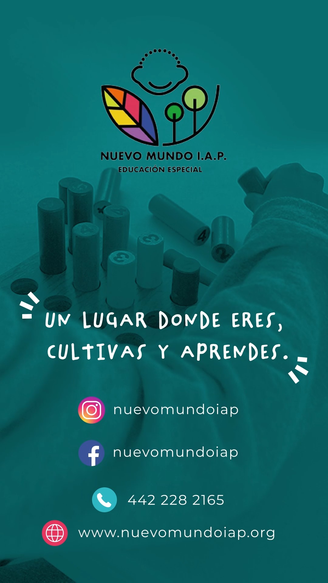 Tu donativo siembra inclusión 🌱 😄 En Nuevo Mundo I.A.P., cada apoyo se transforma en educación, amor y nuevas oportunidades!
💛 Dona, apoya, siembra futuro. Porque cuando donas, cambias vidas… y florecen sonrisas.
#DonarEsSembrar #SemillasDeInclusión #nuevomundoiap #Embajadordeinclusion