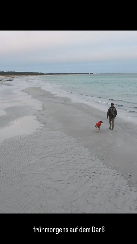 #zingstdarssfischland #darsserort #ostseehund #mithundammeer #allesaustau