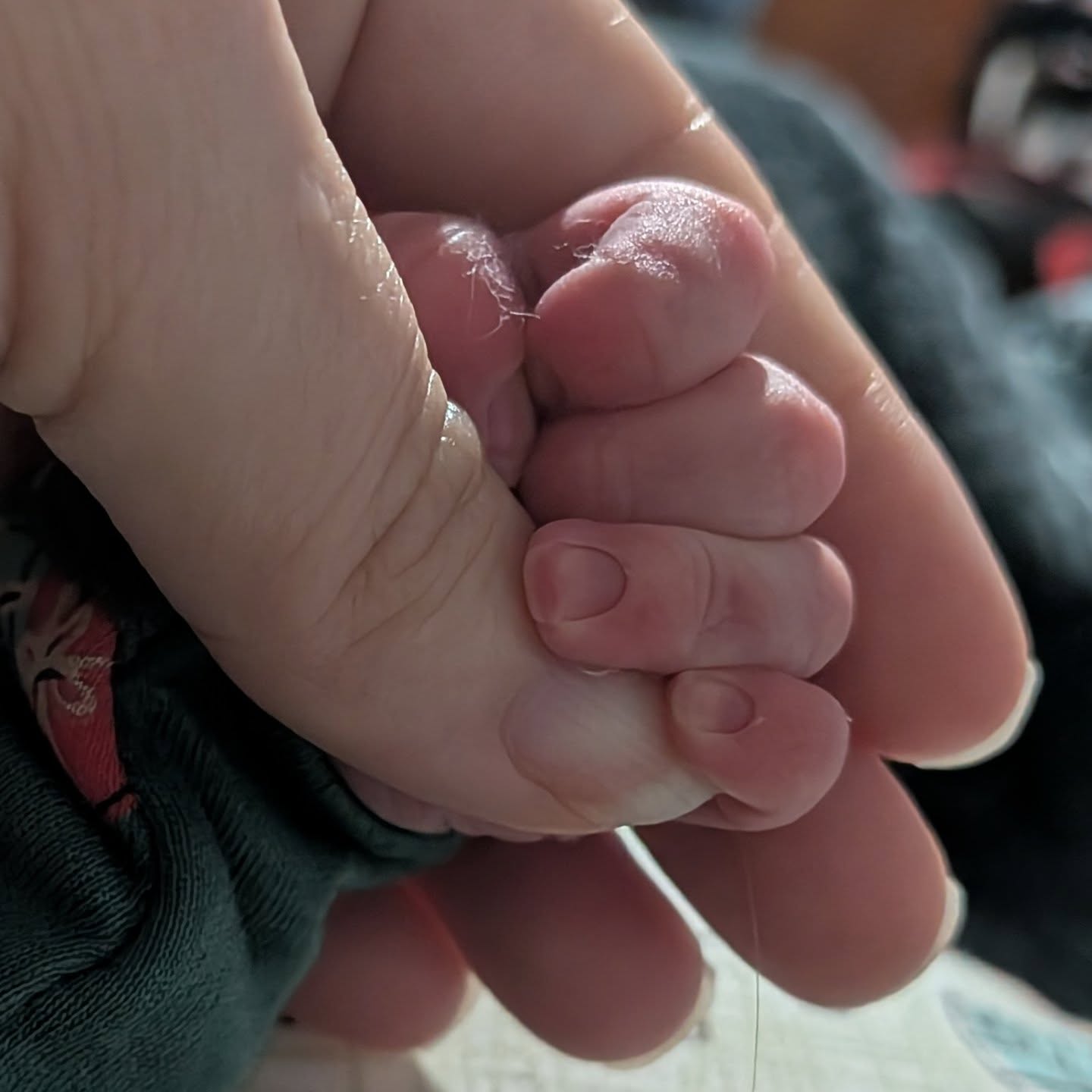 After an early induction (due to preeclampsia) that took over 48 hours, our 5th little one made a dramatic entry into the world at just 37 weeks, at precisely 5:25am on Christmas Day. We made it home the next evening, after they addressed some medical issues for me.
Baby is doing great! He's so strong, even though he's tiny. I'm still recovering, but improving every day, and carefully watching for ongoing preeclampsia risks.
All that to say, I may be quiet online for a bit.
But we're all very thankful things went as well as they did, and for our Christmas baby!
It's really good to be home. ❤️