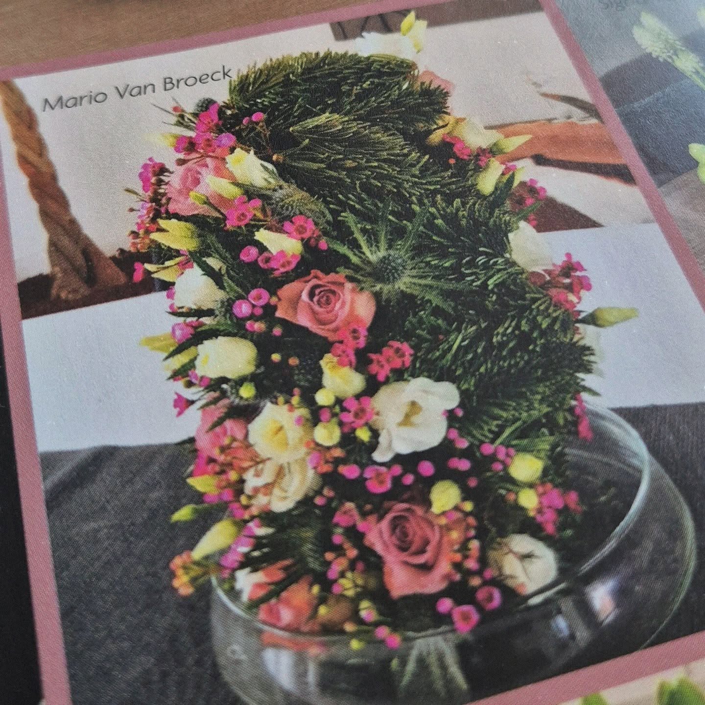 Mijn bloemstuk vermeld in een tijdschrift!
Zo fijn om te zien dat iets wat ik met zoveel plezier maak, ook door anderen wordt opgepikt en gewaardeerd.
Wat een mooie motivatie om te blijven creëren, experimenteren en mijn liefde voor bloemen te delen 🌿🌺