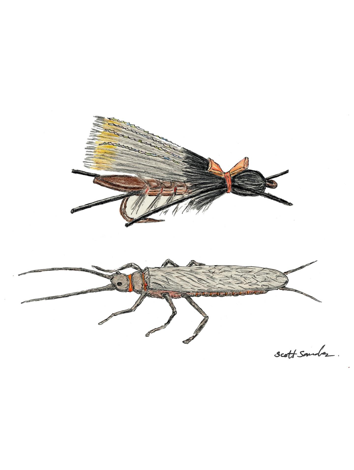 We’ve got new stickers!
Hand-drawn by Scott Sanchez, 100% of profits go directly to The Salmonfly Project, supporting the group’s efforts in conserving and restoring populations of aquatic insects throughout the Western United States. Buy them today at JD High Country Outfitters or check the link in our bio to grab them online.