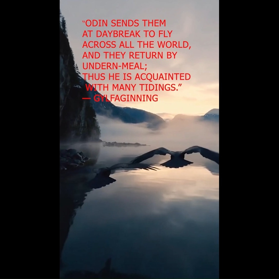 ODIN SENDS THEM AT DAYBREAK
At dawn, Huginn and Muninn fly out from Odin’s shoulders, crossing the Nine Worlds in search of news, secrets, and stirrings of fate.
Along the way, they pause for a snack—a bit of a dead fish by the tidepool, just enough to sharpen their hunger for truth.
And before the hour of undern—Odin’s mid-morning meal—they return to him in Asgard, bearing the weight of all they’ve seen.
Thus, the All-Father is kept wise,
By the wings of thought and memory.
The emblem of Etterretningstjenesten = the Norwegian Intelligence Service shows Huginn and Muninn.