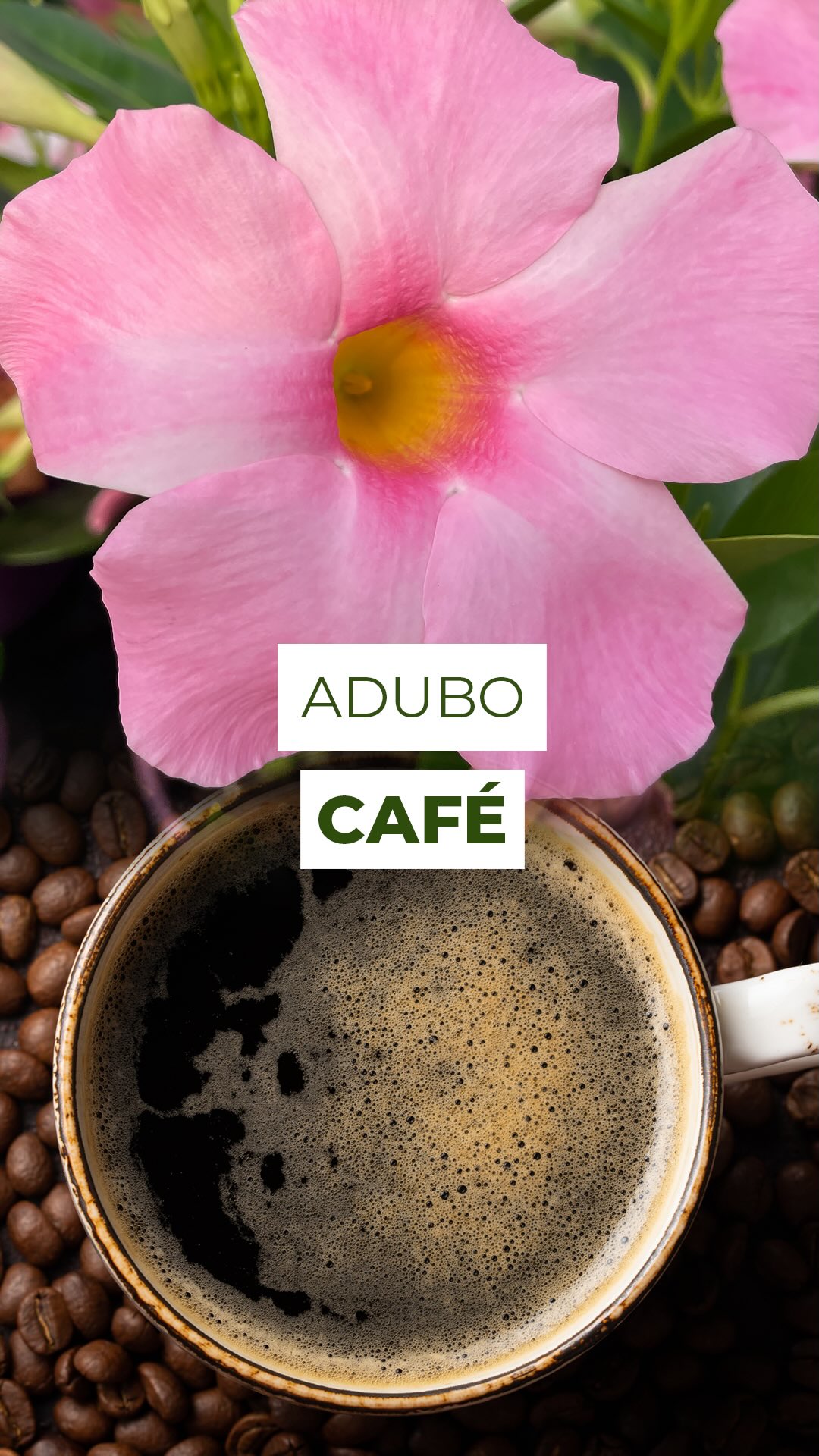 O que sobra no filtro pode virar aliado das suas plantas 🌿☕
A borra de café, quando usada do jeito certo, pode trazer benefícios interessantes para o solo, ela ajuda a afastar algumas pragas rasteiras e contribui com nutrientes importantes, mas atenção: não é adubo imediato e precisa de cuidado no uso.
Como a borra retém bastante umidade, funciona melhor em plantas que gostam de solo levemente úmido. Já para espécies que preferem substrato mais seco, o ideal é evitar.
💡 Jeito seguro de usar:
* Utilize apenas café puro, sem açúcar
* Misture a borra ao substrato na proporção de 2 partes de terra para 1 de borra
* Após cerca de 90 dias, ela se decompõe e passa a nutrir o solo
Quer uma opção mais simples?
Aplique uma camada bem fina, de no máximo 1 cm, em apenas um ponto do vaso, sem cobrir toda a superfície.
Assim, os nutrientes são liberados aos poucos e o aroma ainda ajuda a manter algumas pragas afastadas.
E você, já aproveitou a borra de café nas suas plantas?
Conta aqui nos comentários 👇
#plantas #jardinagem #adubo #flores #adubocaseiro
