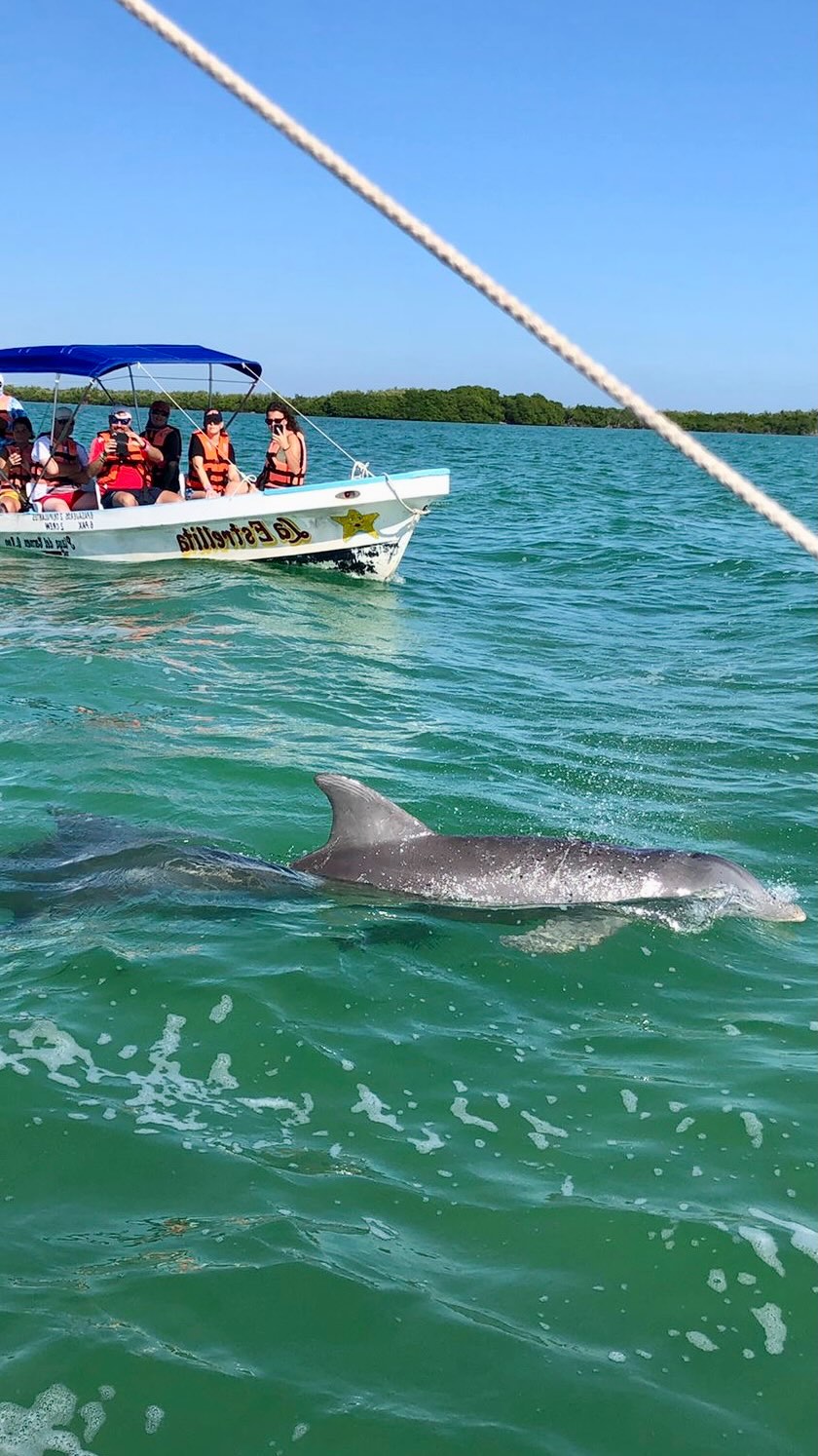 POV: You in Mexico, 2026 🇲🇽✨
Credit card? Swiped.
Worrying about it later? Also yes. 😅
But listen… cenotes, tacos, jungle adventures, sunsets with your friends, and memories you’ll talk about forever?
That’s an excellent investment. 💳➡️🌮🌴
Future you will figure it out.
Present you deserves the trip.
So… why not Mexico 2026? 😉