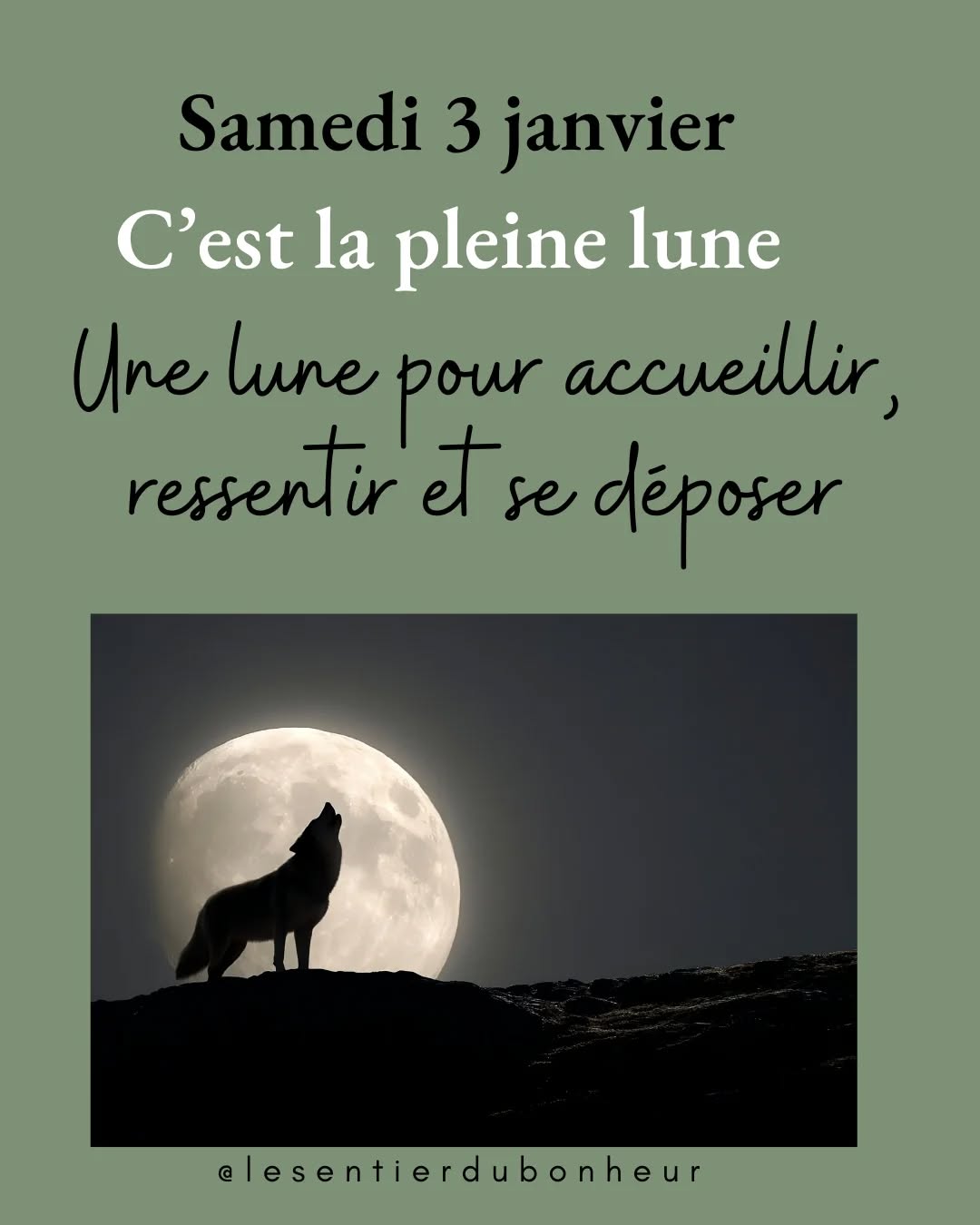 Pleine Lune en Cancer — 3 janvier 2026
Une pleine lune douce et profonde pour accueillir 2026 avec ton cœur en paix.
La Lune en Cancer illumine notre monde intérieur, notre besoin de sécurité, de connexion, de sensibilité. C’est le moment d’écouter ce que ton cœur veut vraiment exprimer.
Cette pleine lune t’invite à :
Accueillir tes émotions sans jugement.
Te reconnecter à ce qui te protège et te nourrit.
Renforcer l’amour de toi-même et des autres.
Libérer les vieux ressentiments avec bienveillance.
Et si tu le souhaites, je t’accompagne avec un mini soin énergétique à distance pour apaiser ton cœur, libérer les tensions émotionnelles et te recentrer en douceur.
25.- par Twint au 079 442 67 42 ou en suivant le lien en bio.
Nom + prénom + date de naissance
Réception le 3 janvier
#pleinelune #pleinelunecancer #nouvelleannee #rituelpleinelune #soinenergetique chakras bienetreholistique intuition amourdesoi liberationemotionnelle soindistance