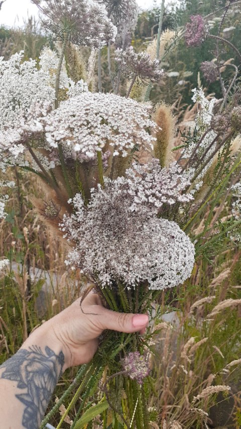 I'm that weirdo on the side of the road, raiding the local foliage to give a bit or realism too go along with my artificial floral arrangements. I feel that as a floral artist you immediately are granted a weirdo license to forage on the side of the road. So if you were driving into Otaki today that was me trimming the bush. I found the most beautiful eucalyptus and wildflowers. And yes it was a eucalyptus tree that was free for the taking.
I'm foraging these items for a wedding in Otaki that I was able to do last minute. That's the beauty of faux flowers; they're available whenever. No seasonal restrictions no issues with keeping them alive.
This lovely couple saw me at the Open Day for @weddingsbyfoxglove , so thank you so much Ally. Open days really do work.
#meadowandtea #fauxflowersofinstagram #fauxflowersnz #floralarrangementsonline