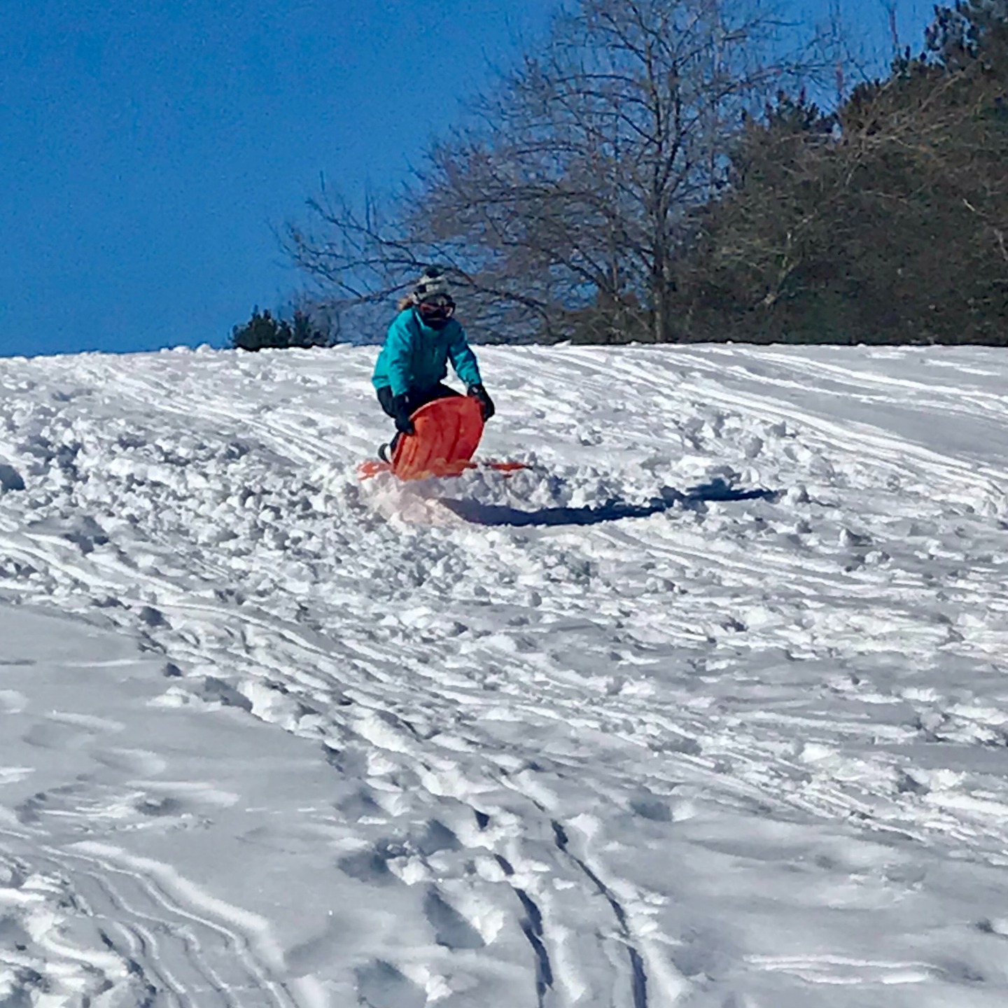 ❄️ Sledding Day at 1824 House! 🛷✨
📅 Jan 1 • 11:00am–4:30pm
New Year, new memories! Bring your own sled or tube and slide down our backyard hill! ⛷️💫
Not feeling the chill? ❄️ Warm up in the barn or around the firepit with a drink + some tasty bites 🔥🥪🍷
👉 Food & beverages available for purchase
🚫 No dogs
🚫 No outside food or drinks
Let’s start 2026 with some fun! 🎉
#SleddingDay #1824House #MadRiverValley #WinterFun #StayMRV #CommunityDay