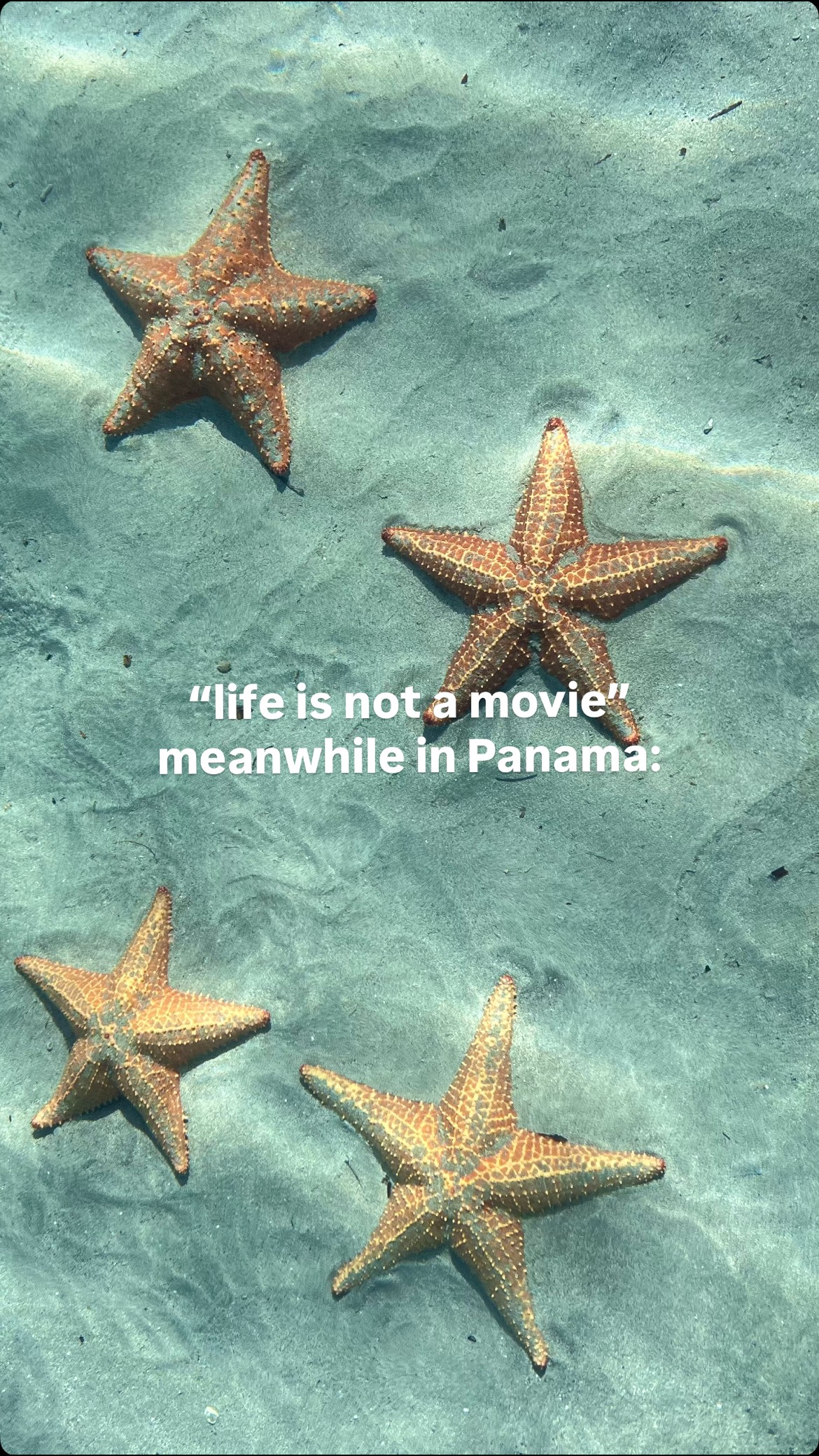 Turns out it kind of is.
#panama #panamacity #panamabeach #travelvlog