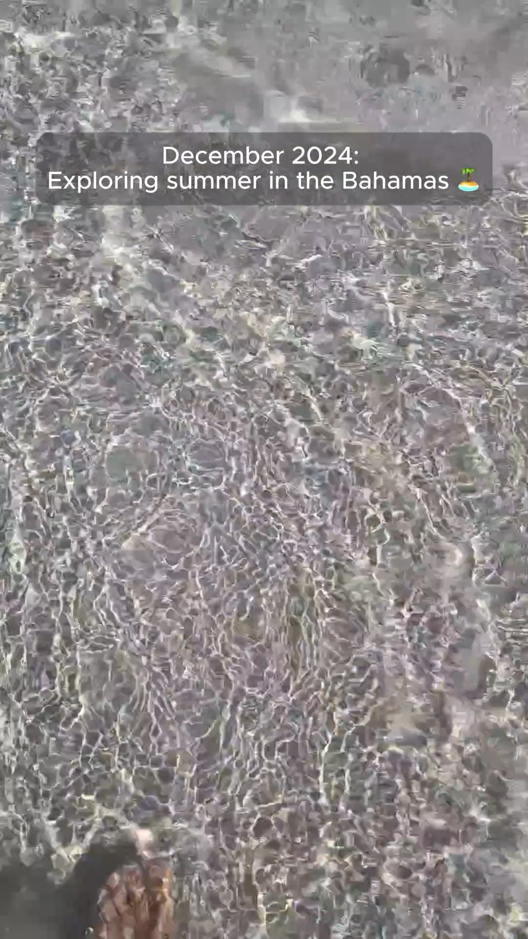 One year apart, two completely different realities. 🏝️ ➡️ ❄️
Last December we were exploring the turquoise waters of the Bahamas. This year it is a lot more freezy exploration.
People ask why we lived on a boat for 3 years, This is why. It was never about the destination, it was about proving that you can choose your view.
You don't have to stay stuck in one climate or one way of living. It is not about where you are, it is about having the freedom to decide.
Which season are you choosing this year?
#followthe5un #lifebydesign #sailingfamily #digitalnomads #exumas #worldschooling #boatlife #freedom #locationindependent #intentionalliving #bahamas