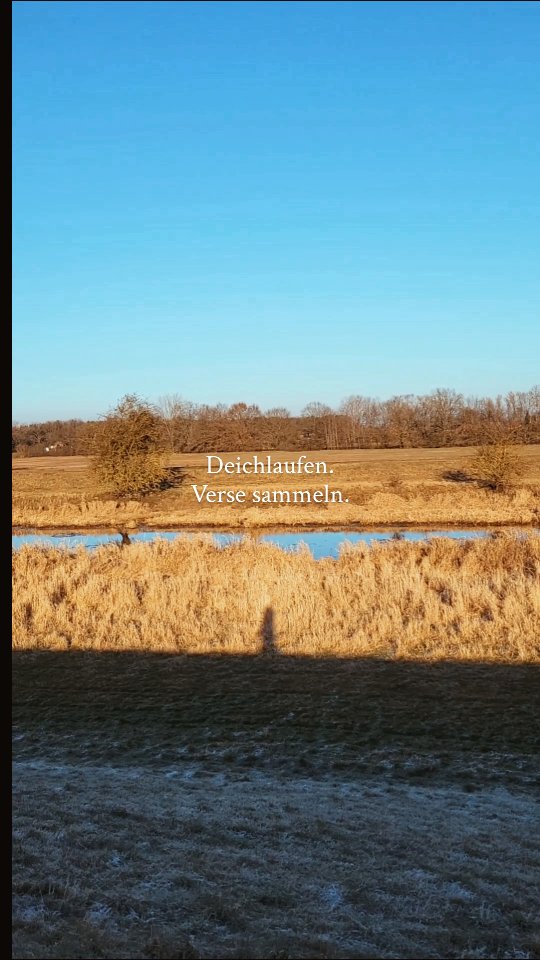 Deichlaufen. Verse sammeln.
Manche landen einmal im Monat auf Substack.
Die Januar-Botschaft wartet schon irgendwo.
#Naturpoesie #MagieImAlltag #Monatsbotschaft #ZwischenBaumkroneUndMeer #AchtsamAufDemDeich