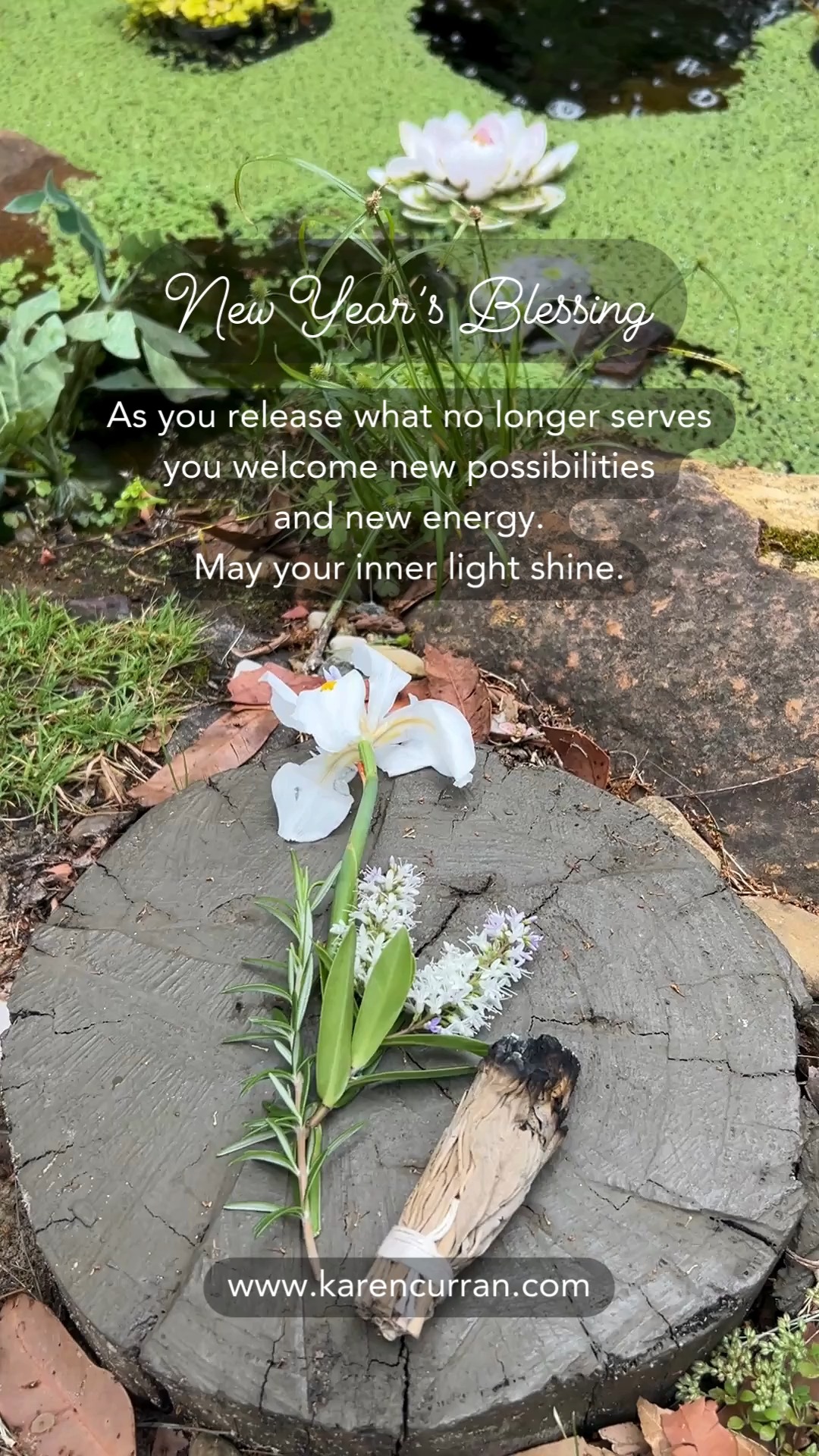 New Year's Blessing ... as you quietly release what no longer serves, you welcome new possibilities and new energy.
May your inner light shine. 🙏