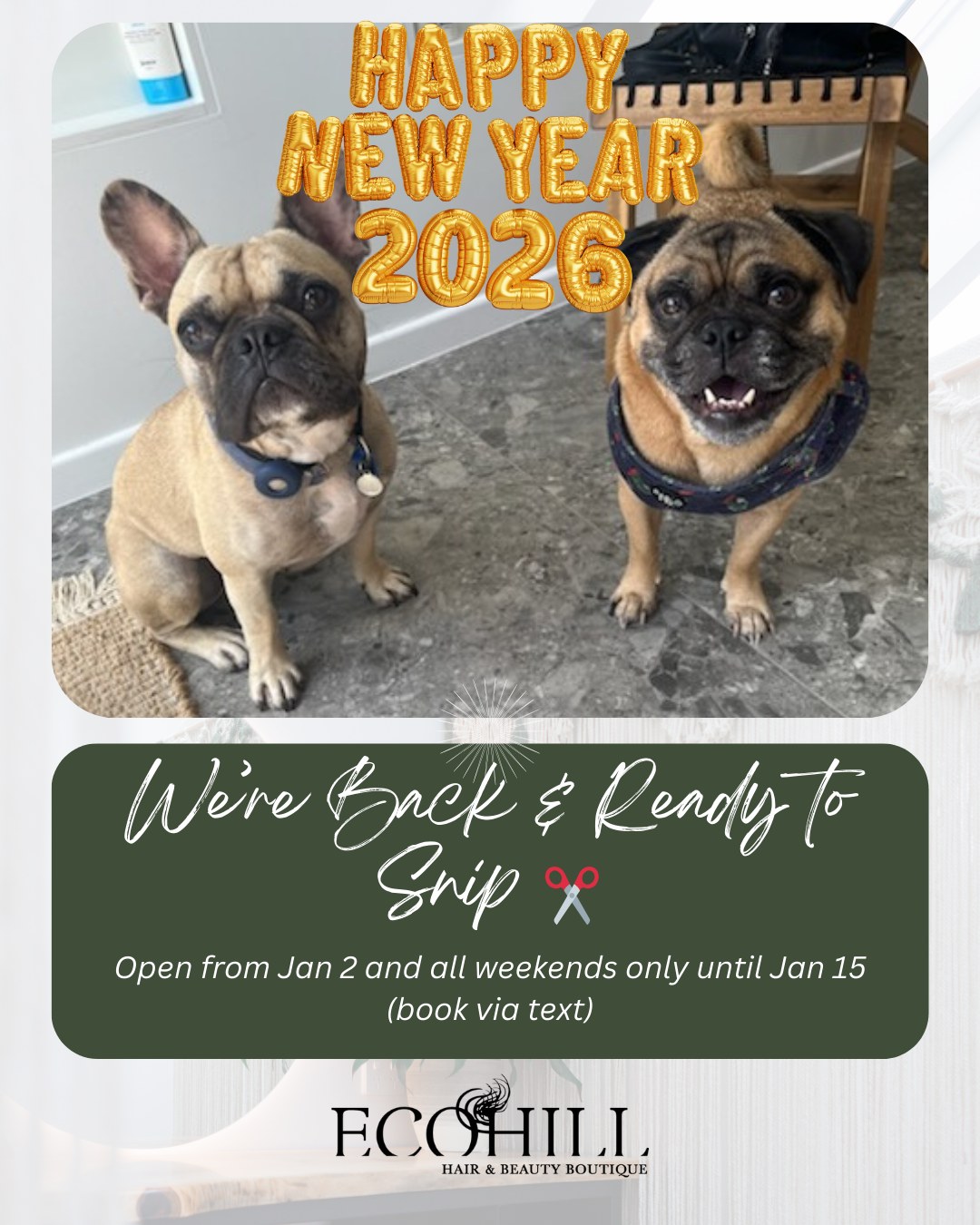 ✨ We’re back and the scissors are calling! ✂️
We’re officially back from January 2, easing into the new year with all weekend appointments until January 15 🗓️
Perfect timing for a fresh trim, a colour refresh, or a little “new year, new hair” moment 💁♀️✨
📲 Bookings are via text only - quick, easy, and straight to us.
Limited spots available, so don’t wait until your fringe starts making its own decisions 😉
📞+61401370091
#ECOHILLHairBoutique
#25YearsInService
#BoondallSalon
#BrisbaneHairdresser
#BrisbaneSalon
#HairGoals
#SalonLife
#HairCommunity
#SupportLocalSalon
#HairCareTips
#HairStylistLife
#GoodHairDays
#BookYourAppointment
#BackInTheChair
#NewYearNewHair
#BookViaText
#WeekendAppointments