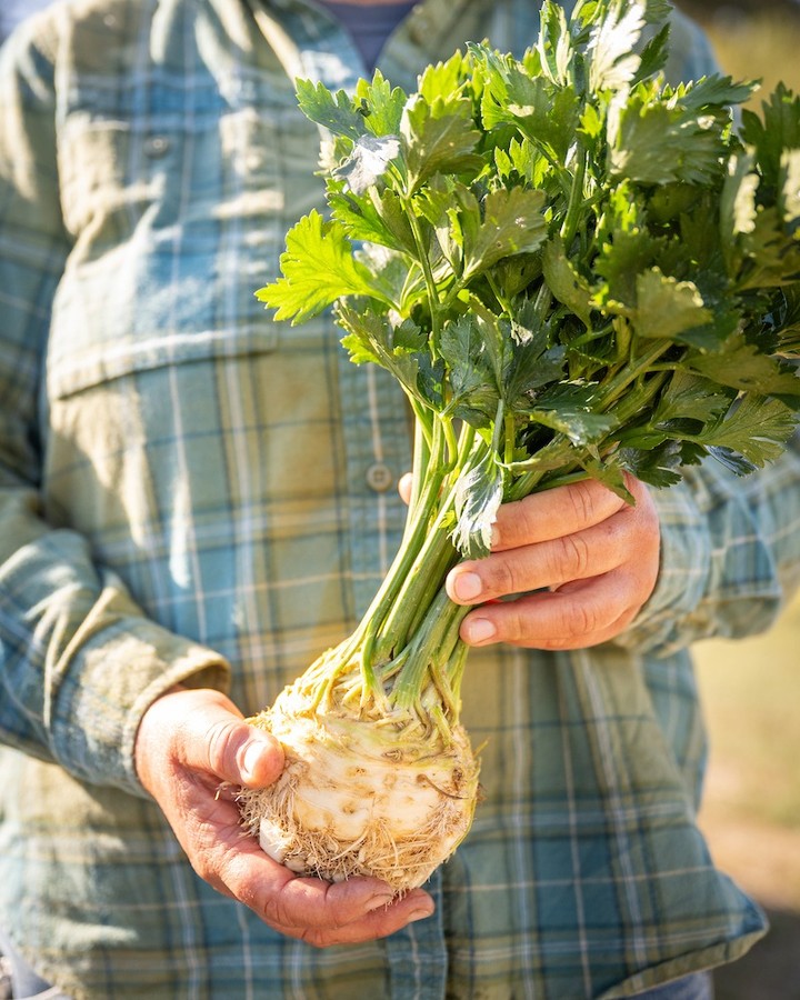 As the year comes to a close, we’re in the final days of our Giving Season campaign.
Nourish Families. Support Farmers. Strengthen Communities. is about showing up for the people who make our food community what it is: the farmers growing our food and the families who rely on it.
Thanks to our community, we’ve already raised $9,000, and we’re close to the finish line. Gifts made by December 31 help carry this work into the new year and keep local food accessible and farms thriving.
If you’ve been meaning to make an end-of-year gift, now is the moment.
🔗 Donate before 12/31 with the link in our bio.
📸 @shawnlinehan
#PNWCSA #YearEndGiving #SupportFarmers #FoodAccess #CSAL #DoubleUpFoodBucks #NourishFamilies #StrengthenCommunities #GiveLocal