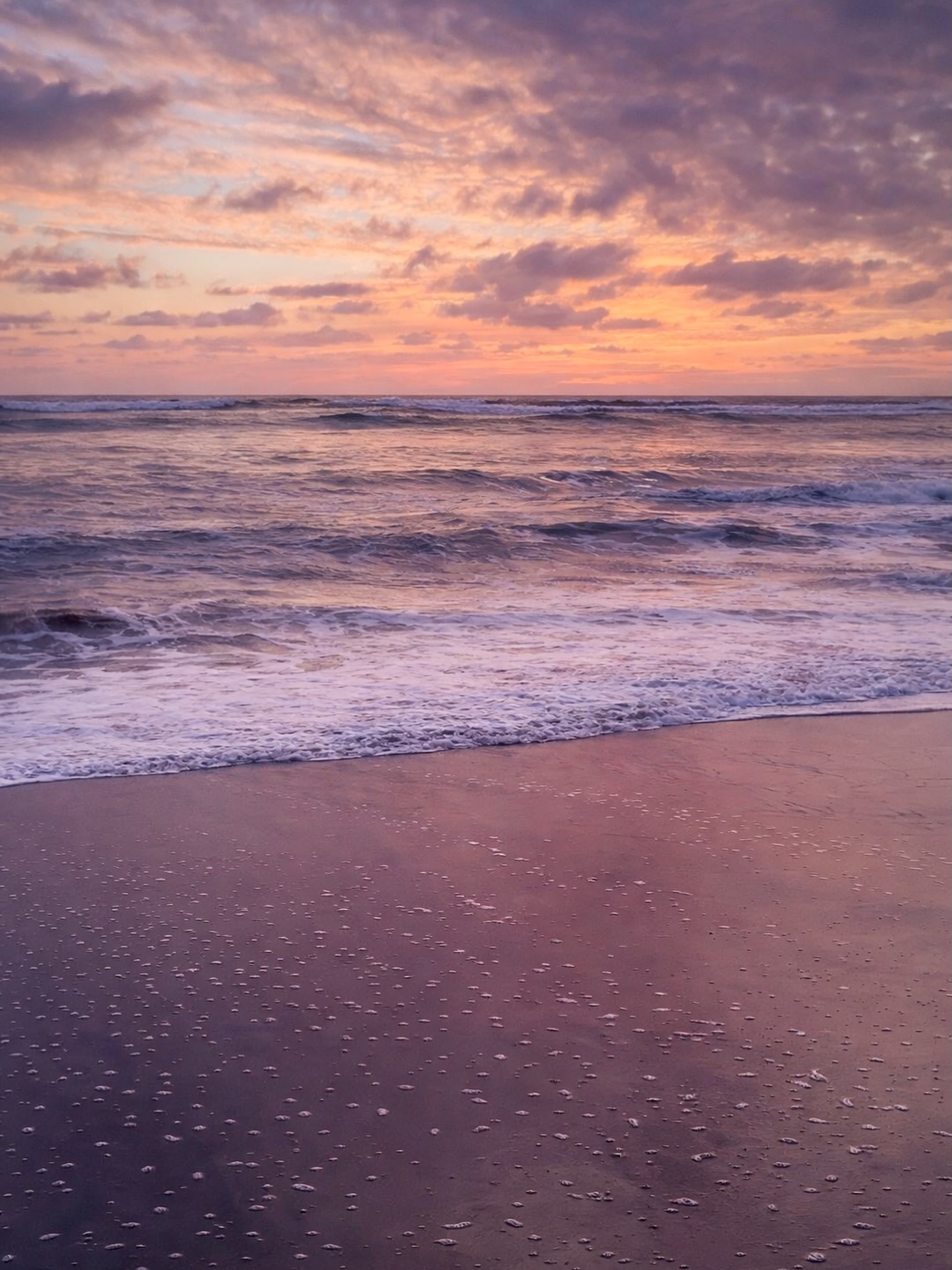 There’s something about this quiet week between Christmas and New Year’s.
Cold coffee. Twinkle lights still on. Leftovers that somehow taste better the next day.
Food everywhere. Love everywhere. Chaos, laughter, exhaustion.
A pause in the noise — a moment to exhale and take stock of what we survived, what we learned, and what we’re carrying forward.
In that pause, I keep thinking about all of us.
Sending love to families and friends having hard conversations — choosing respect over shouting, even when it’s uncomfortable.
Sending love to survivors of abuse — especially the kind that lives in the body and nervous system long after the wounds fade. You’re not weak. You’re human.
Sending love to children and parents living with fear no one should have to carry.
Sending love to those questioning what they were taught, choosing conscience over comfort.
Sending love to people of all faiths who believe compassion should never be weaponized.
Sending love to the tired.
The confused.
The ones who feel like they don’t quite fit anywhere anymore.
And sending love to the future — to the babies sleeping peacefully right now.
May we be brave enough to protect what they represent.
May we choose humanity, even when it costs us comfort.
As this year closes, I’m choosing quiet hope — the steady kind rooted in healing, truth, and showing up.
Happy holidays.
Silence is complicity