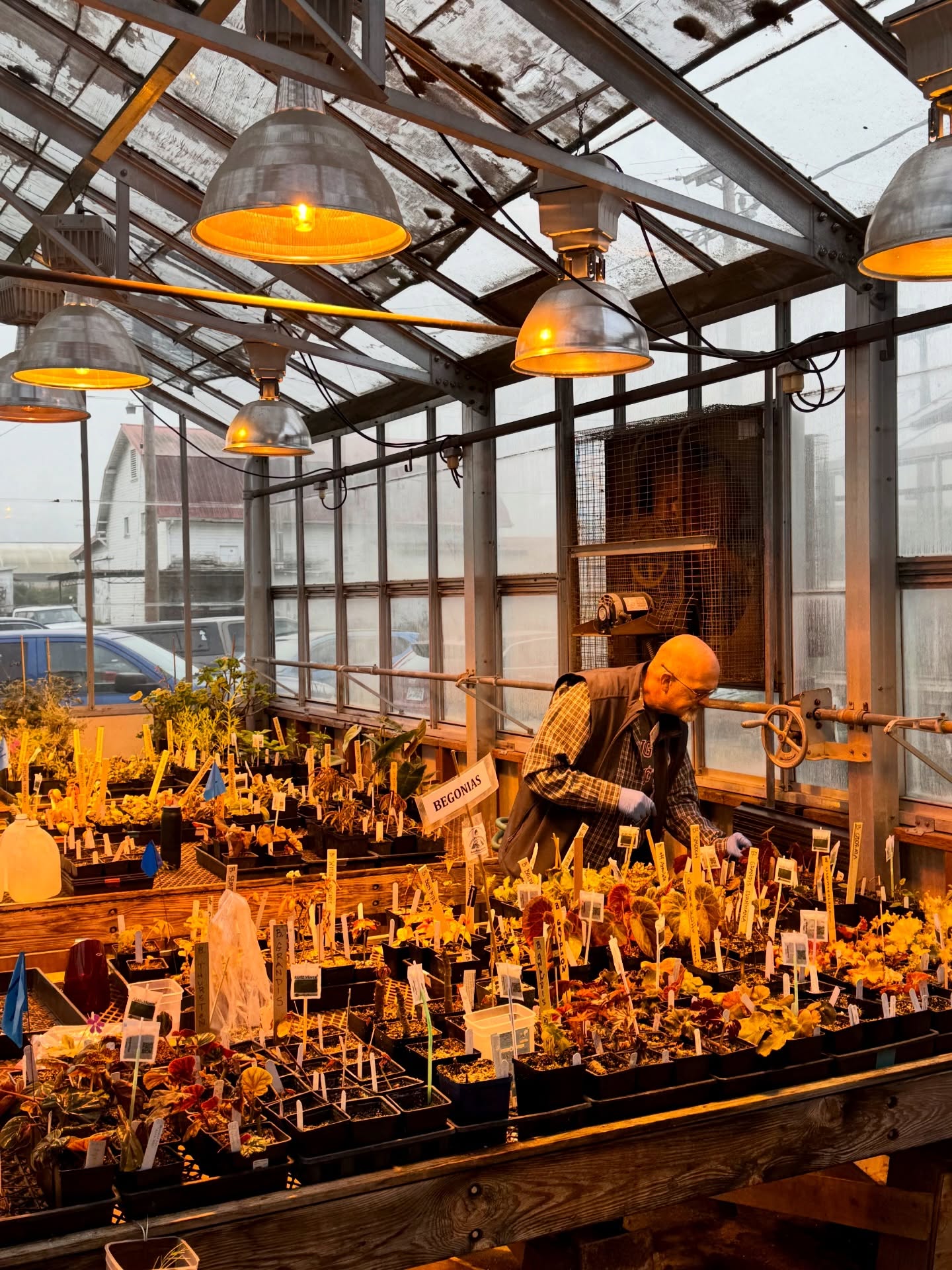 On this final day of the year, I found myself exactly where I needed to be—quietly tending baby begonias in the greenhouse. 🌱✨
There’s something powerful about ending a year surrounded by new life. Each tiny leaf and fresh sign of growth feels like a reminder of hope, patience, and what’s possible when we nurture the things we care about.
This peaceful moment was made possible through my work as a WSU Extension Pierce County Master Gardener volunteer, and it has me extra excited for what’s ahead—especially our annual plant sale!
🌸 Mark your calendars:
First weekend of May 2026
📍 Washington State Fairgrounds, Puyallup
Here’s to closing out the year with gratitude and stepping into the new one full of growth, promise, and more begonias than ever. 🌿💚
#NewYearsEveReflection #GrowingHope #BegoniaLove #MasterGardener #WSUExtension