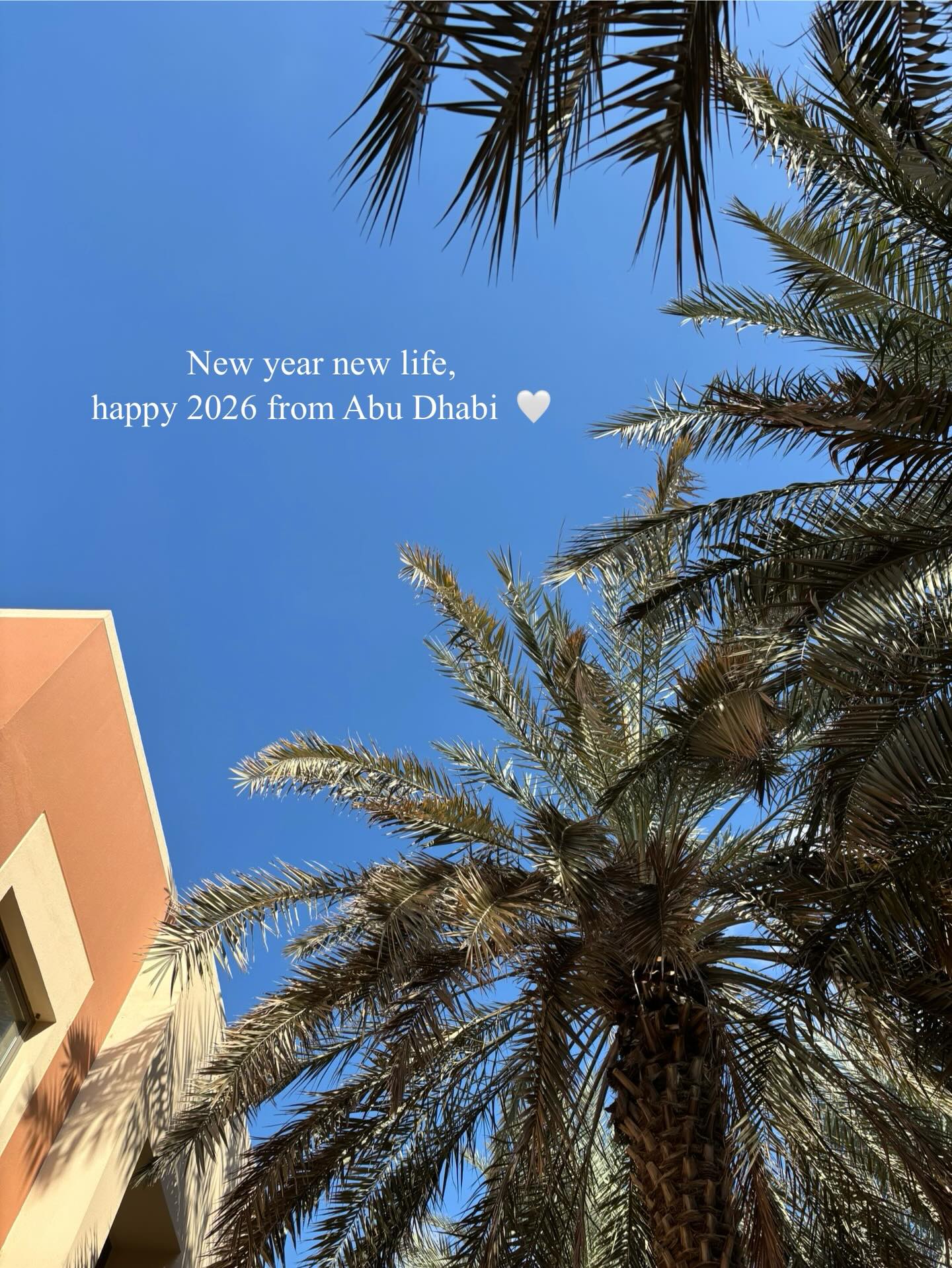 Happy new year 🫶🏼