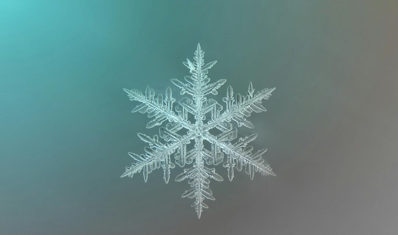 “Snowflakes are beautiful dancing stars poured down upon us from the hands of angels.” ~ Robbie George
#QuoteOfTheDay #RobbieGeorge #SafeSoilUK #snowflakes
