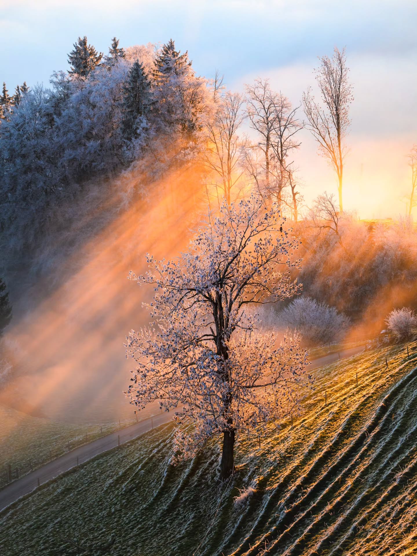 Today's sunset at the line of fog delivered 🔥