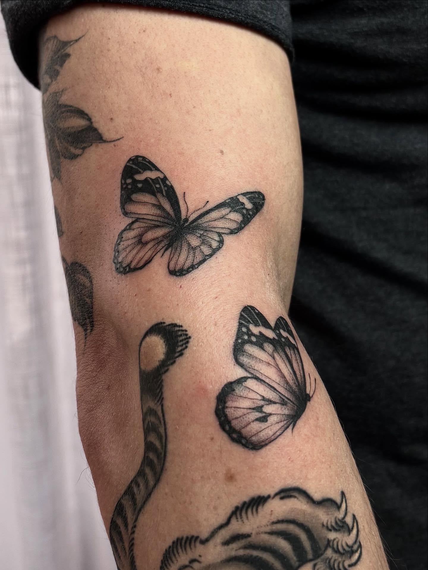 Butterfly’s on my fav!
New Year’s resolution, get better at posting & being more active on here 🥹