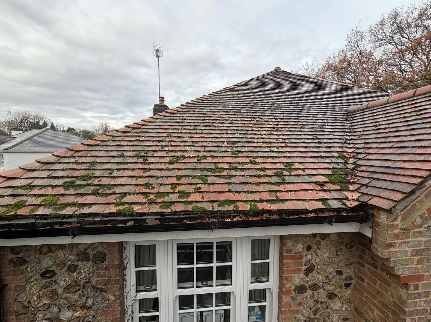 Out with the old, in with the new! Book your 2026 roof clean! #roofcleaning #clean #maintain #maintenace #home #roof