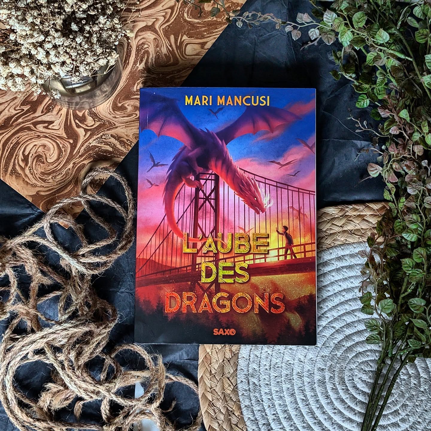 ✨ L’Aube des Dragons - Mari Mancusi ✨
Première fois pour moi que je m'attaque à une œuvre de Marie Mancusi. Il s'agit là d'un préquel de sa saga New Dragon City... Mais pas de panique, vous n'avez pas besoin de l'avoir lu cette saga pour pouvoir lire ce préquel.
Dans ce roman, on remonte le temps, avant que tout ne bascule. Les incendies se multiplient, la peur s’installe, mais personne n’imagine encore que les dragons sont réels.
Personne… sauf peut-être Lucas, 12 ans, passionné par les théories qu’on qualifie trop vite de farfelues. Jusqu’au jour où la vérité lui explose au visage.
Sa rencontre avec Cendre, une toute jeune dragonne aussi minuscule qu’attachante, change tout. Entre eux naît une relation touchante, faite de confiance fragile et de curiosité.
Deux mondes qui se font face, persuadés chacun de leur côté, que l’autre est une menace. Et quand la peur gouverne, tout peut très vite déraper.
J’ai beaucoup aimé l’alternance de points de vue entre Lucas et Cendre : découvrir le regard des dragons sur les humains apporte une vraie richesse au récit. On oscille constamment entre action, émotions et questionnements, sans jamais s’ennuyer.
L’Aube des Dragons est une fantasy jeunesse généreuse, qui parle d’amitié, de courage et surtout de tolérance.
Un récit qui éclaire les origines de l’invasion, tout en restant accessible à celles et ceux qui n’ont pas lu New Dragon City.
Et si, comme moi, vous avez un faible pour les histoires de dragons… alors aucune hésitation vous pouvez vous lancer dans l'aventure.
Il est publié chez @editions_saxo !
#LAubeDesDragons #MariMancusi #FantasyJeunesse #Dragons #LectureFantasy