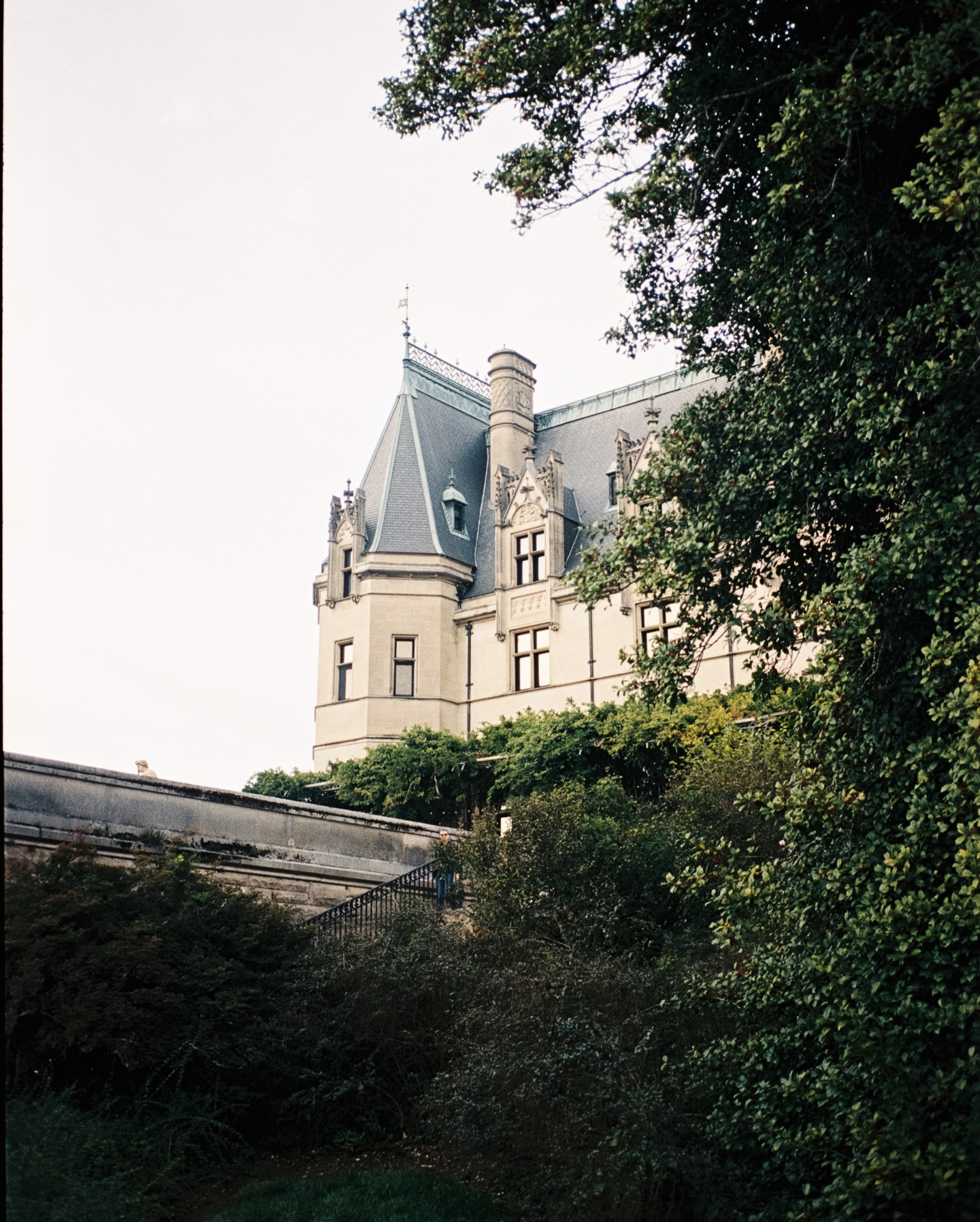 Wedding celebration at the Biltmore Estate, Asheville, NC.
Captured within the historic estate and its surrounding grounds.
Wedding Planner: @marybellevents
Venue: @biltmoreweddingsnc @biltmoreestate
Photographer: @clichephotographers
Videographer: @chasingmozart
Florals: @floraasheville
Hair & Makeup: @blushasheville
Dresses: @jennyyoo @kleinfeldbridal
Film lab: @carmencitafilmlab
#biltmoreestate #biltmorewedding #biltmore #weddinginspiration Wedding at the Biltmore Estate NC shot on 35mm film