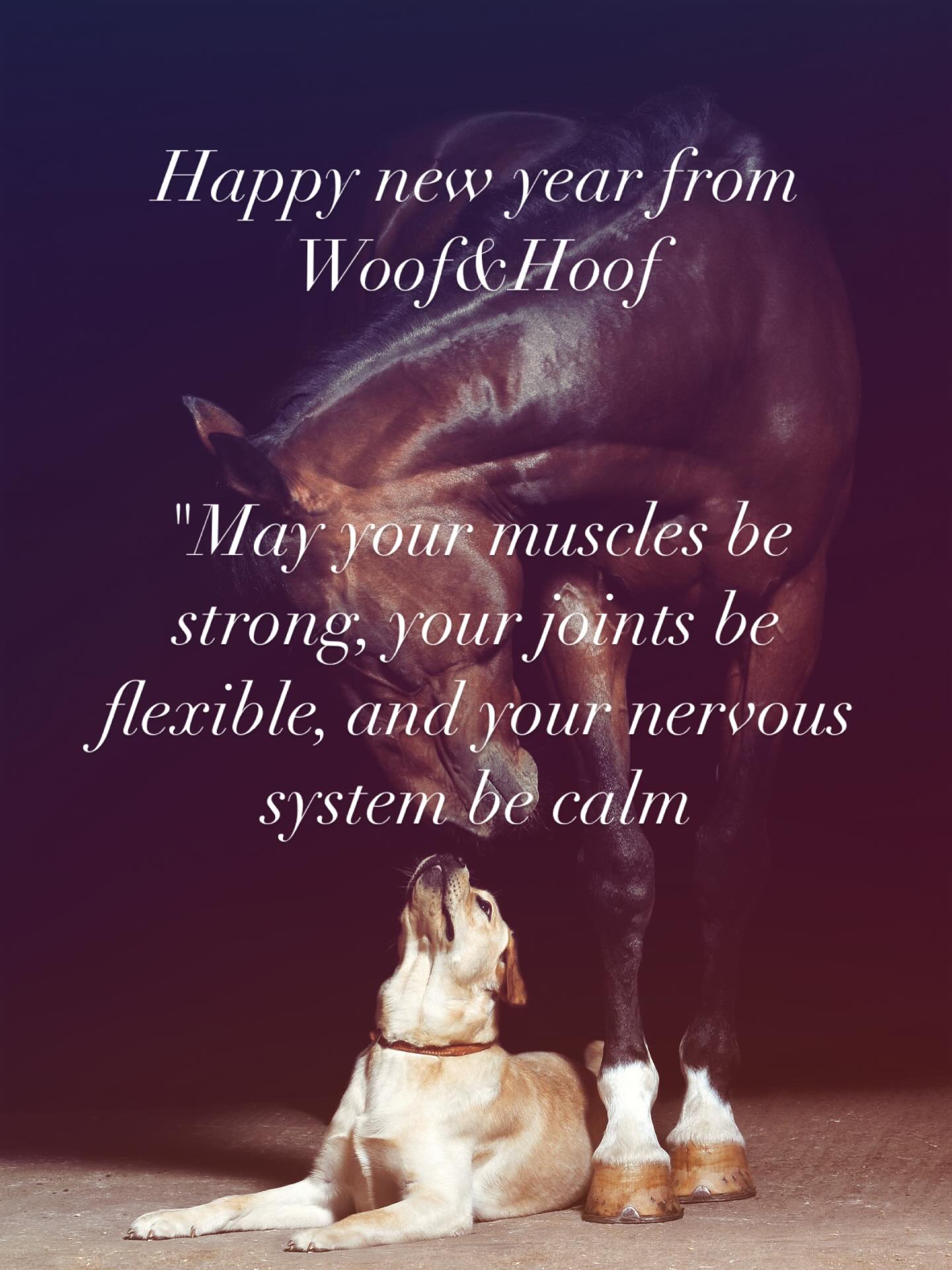 Happy new year from Woof&Hoof 🎉🥳🐶🐴🩷