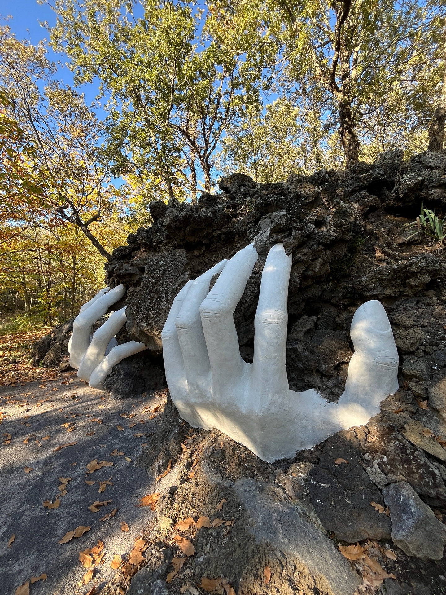 Grüße aus meiner Deutschland-Winterpause ❄️
In diesen Tagen denke ich oft an Sizilien und sehne mich nach Sonne und Meer. Ich vermisse die Sonnenstrahlen, die morgens ins Schlafzimmer fallen, den Blick auf den rauchenden Vulkan, dessen schneebedeckte Krater in der Wintersonne glitzern. Ich vermisse den Kaffee in der Bar am Morgen und den Bummel über meinen Lieblingswochenmarkt in Catania.
Doch bald geht es wieder zurück auf die Insel.
Derweil scrolle ich durch meine Bildergalerie und erfreue mich an den Erlebnissen der vergangenen Monate.
Im November führte mich eine Tour nach „Boscoscuro“ (übersetzt: in den dunklen Wald 🌳😉).
Es ist ein idyllisch gelegener Agriturismo, umgeben von einem großen Naturpark, den man auf alten Maultierpfaden durchquert, vorbei an Kunstobjekten und kleinen Lavahöhlen. Es ist eine Oase der Stille, versteckt am Südhang des Ätna.
#reiseundfotografie #sizilienreise #sicilylovers #visitcatania #etnaexperience #agriturismo #italienliebe #fotoreise #slowtravel #kunstundnatur #oase #naturpark #agriturismo