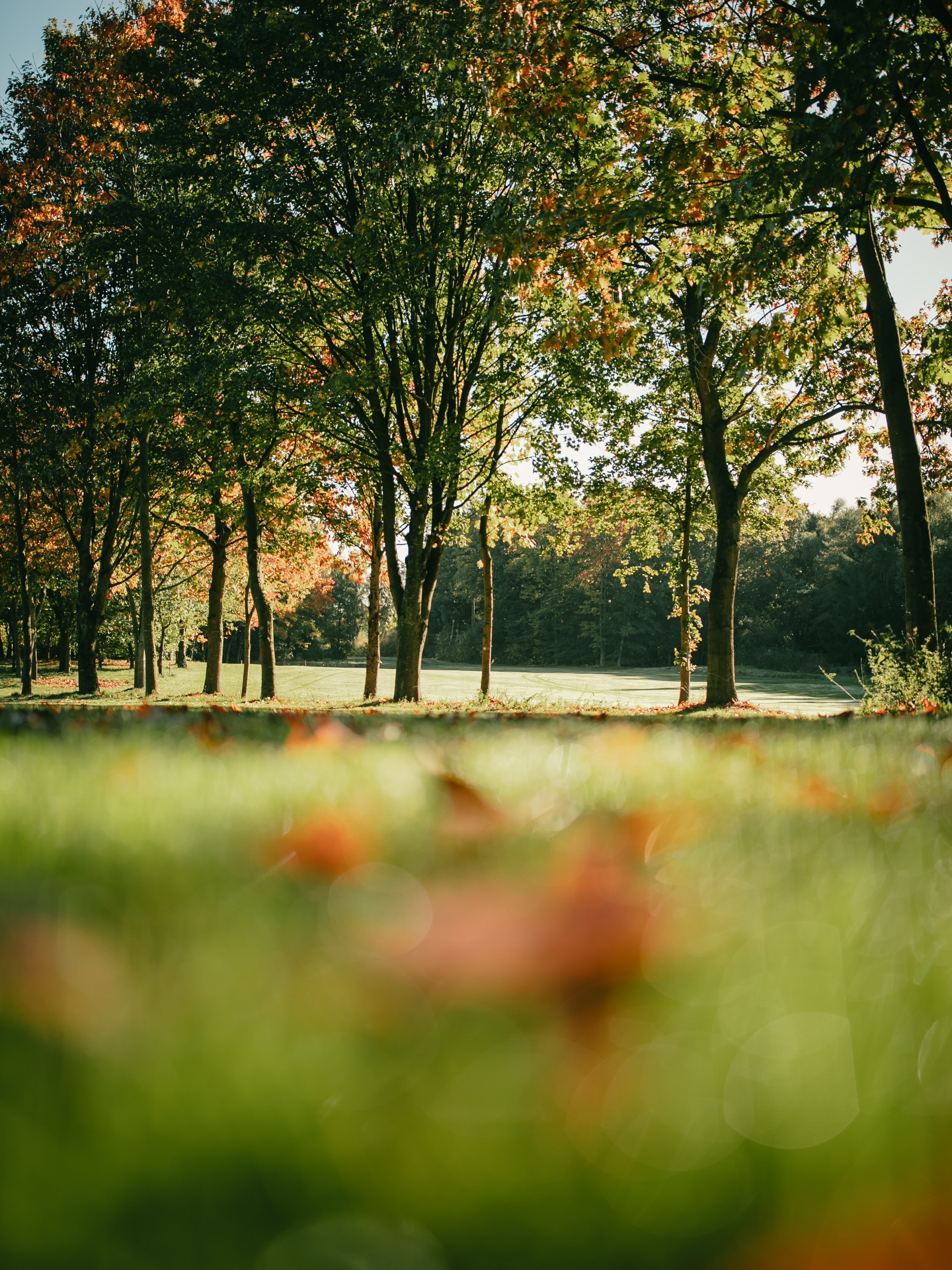 Impressionen vom Golfplatz. #golf #vechta #golfstargram