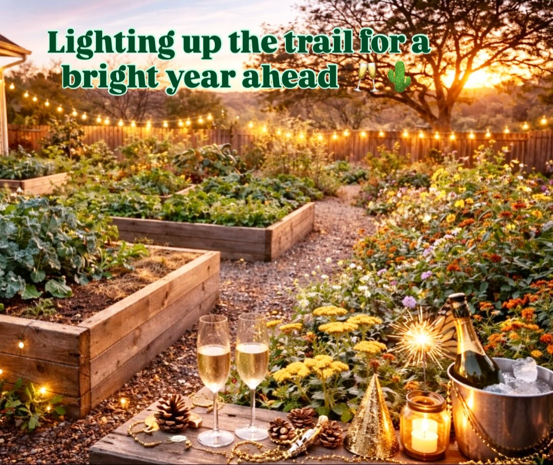 Happy New Year!
In the quiet of winter, the land prepares for the growth to come. Wishing our community a peaceful start to the year!
#TexasLandscapeCooperative #NewYear2006 #NewYearFreshStart #texasoutdoors #gardeningintexas