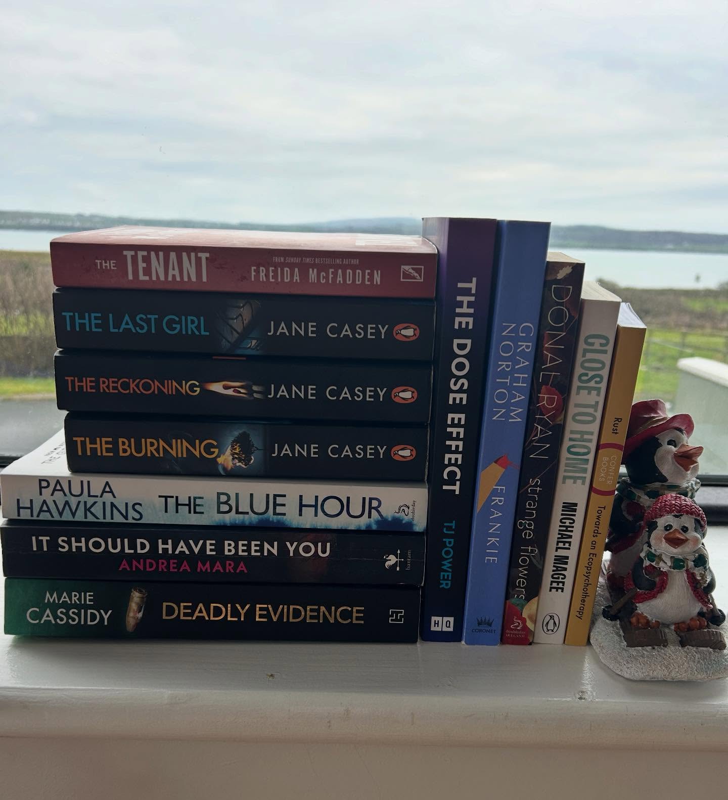 Inspired by my daughter, this time last year I decided to log the books I read and audio books I listened to in 2025. This proved to be a great idea!
I’ve a terrible memory so it’s very rewarding to see the full completed list now. I’m also thinking about setting myself a reading challenge for 2026 to reach a bigger number (yet to be decided 😀).
Here’s my selection from 2025 (in the order I read or listened to them). 12 paper books and 4 audio books.
1. Close to home by Michael Magee
2. Frankie by Graham Norton
3. The Blue Hour by Paula Hawkins
4. Strange Flowers by Donal Ryan
5. A Time for Truth by Sarah Colbert Lynch (Audible)
6. The Burning by Jane Casey
7. It should have been you by Andrea Mara
8. The Reckoning by Jane Casey
9. Poor by Katriona O’Sullivan (Audible)
10. The Tenant by Freida McFadden
11. Braiding Sweetgrass by Robin Wall Kimmerer (Audible)
12. Last Girl by Jane Casey
13. Nature Boy by Sean Ronayne (Audible)
14. Deadly Evidence by Marie Cassidy
15. Towards an Ecopsychotherapy by Mary-Jane Rust
16. The Dose Effect - Small habits to boost your brain chemistry by TJ Power
These include:
📚 Beautifully written stories with great depth to characters,
👱 Powerful and moving autobiographies,
🌿 Books with themes that reflect my interests in Psychology and Nature,
🕵️ Great crime fiction to tune out of reality with!
So far I’ve posted brief reflections on:
- Close to Home
- A Time for Truth
- Poor
- Braiding Sweetgrass and
- Nature Boy
You’ll find them in my post feed if you are interested.
I’d Love to hear any of your recommendations for my 2026 reading challenge!
#booksof2025