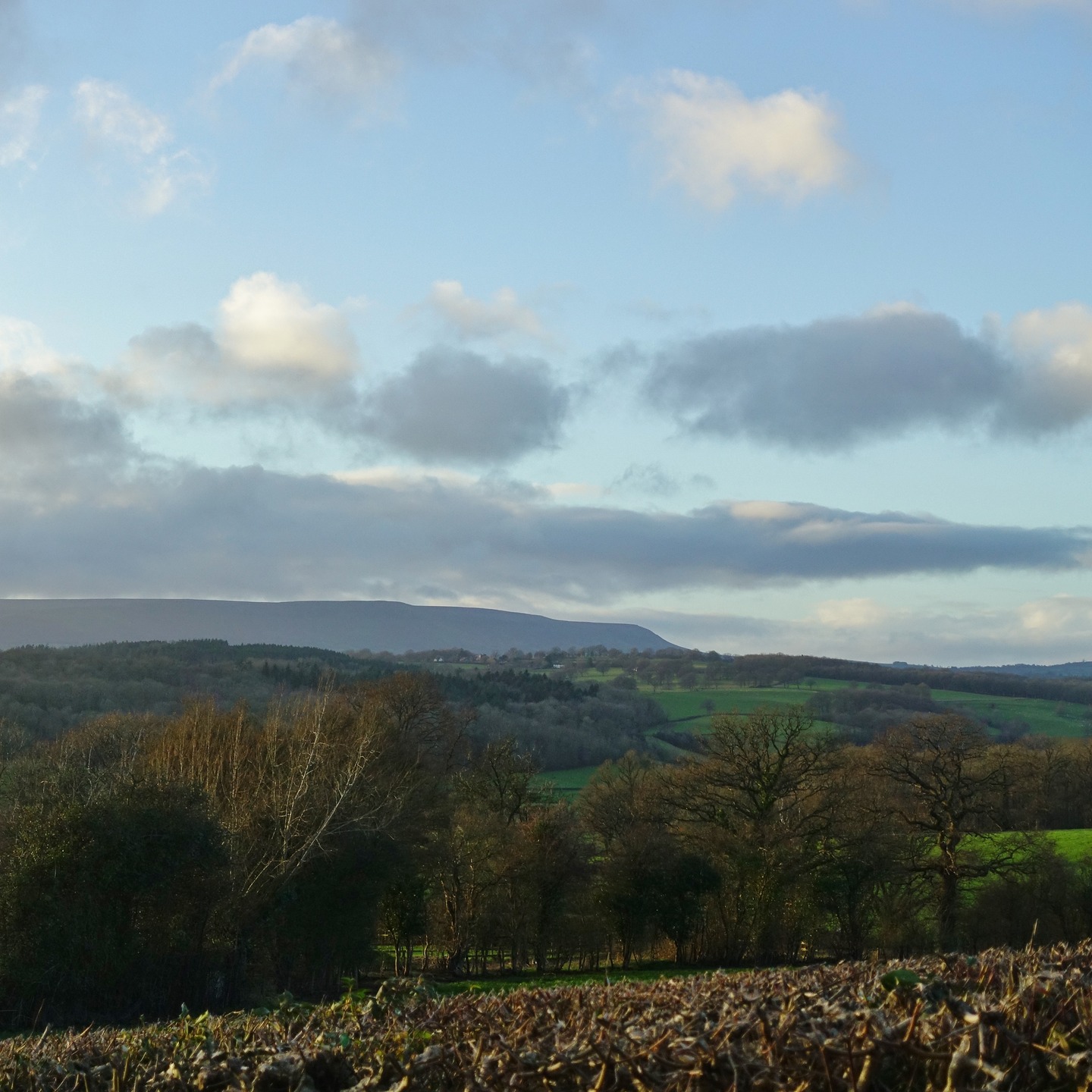 A few hills in Herefordshire. Some rolling, some wide and long, as with the Black Mountains. Rural and countryside walking is a balm to the soul. It's not just about the views; it's the sense of history that’s evident in the land I get off on. Each hill, each valley, has a story that permeates. Yeah, through the vales, the holloways, ancient settlements, churches, and woodland, I connect with a much deeper, layered picture. I love it. #countrywalk #countrywalks #herefordshire #ramble #rambling #valleywalks #outdoorcollective #naturecollective #naturewalks #blackmountains