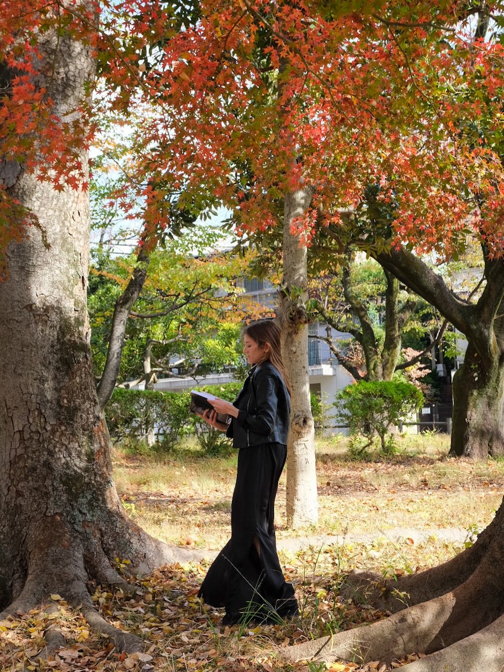 L’heure des bilans et des épanouissements
Dans quelques jours, nous entamerons une nouvelle année. Afin de démarrer 2026 sous les meilleurs hospices, voici une rétrospective littéraire et personnelle de 2025 — qui annonce de belles choses pour l’année prochaine.
Et vous, comment s’est passée votre année 2025 ?
Mots-clés: bilan 2025 - welcome 2026 - autrice française - sfff - Le Bureau des âmes - vivre au Japon
Hashtags: #bilan2025 #bookstagramfrance #autricefrançaise #ecrireaujapon