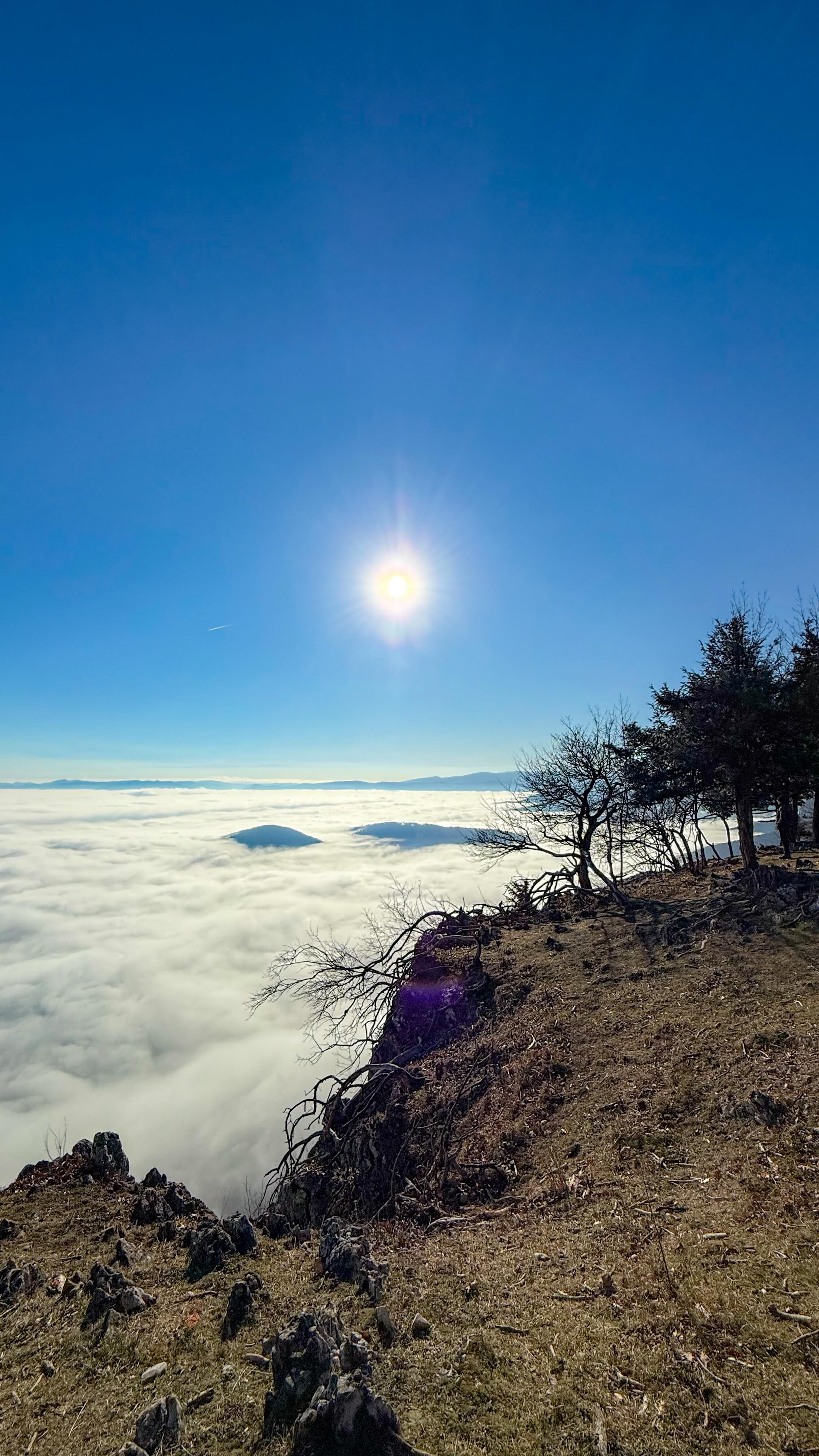 X m a s R e c a p 🎄 Ein bisschen laut, ein bisschen leise. Ein bisschen schnell, ein bisschen langsam. Weihnachten war genau so, wie es sein soll. Ich hoffe, ihr hattet eine genauso schöne Zeit 🥰
.
.
.
.
.
#sothiswaschristmas #heartfull #blessed