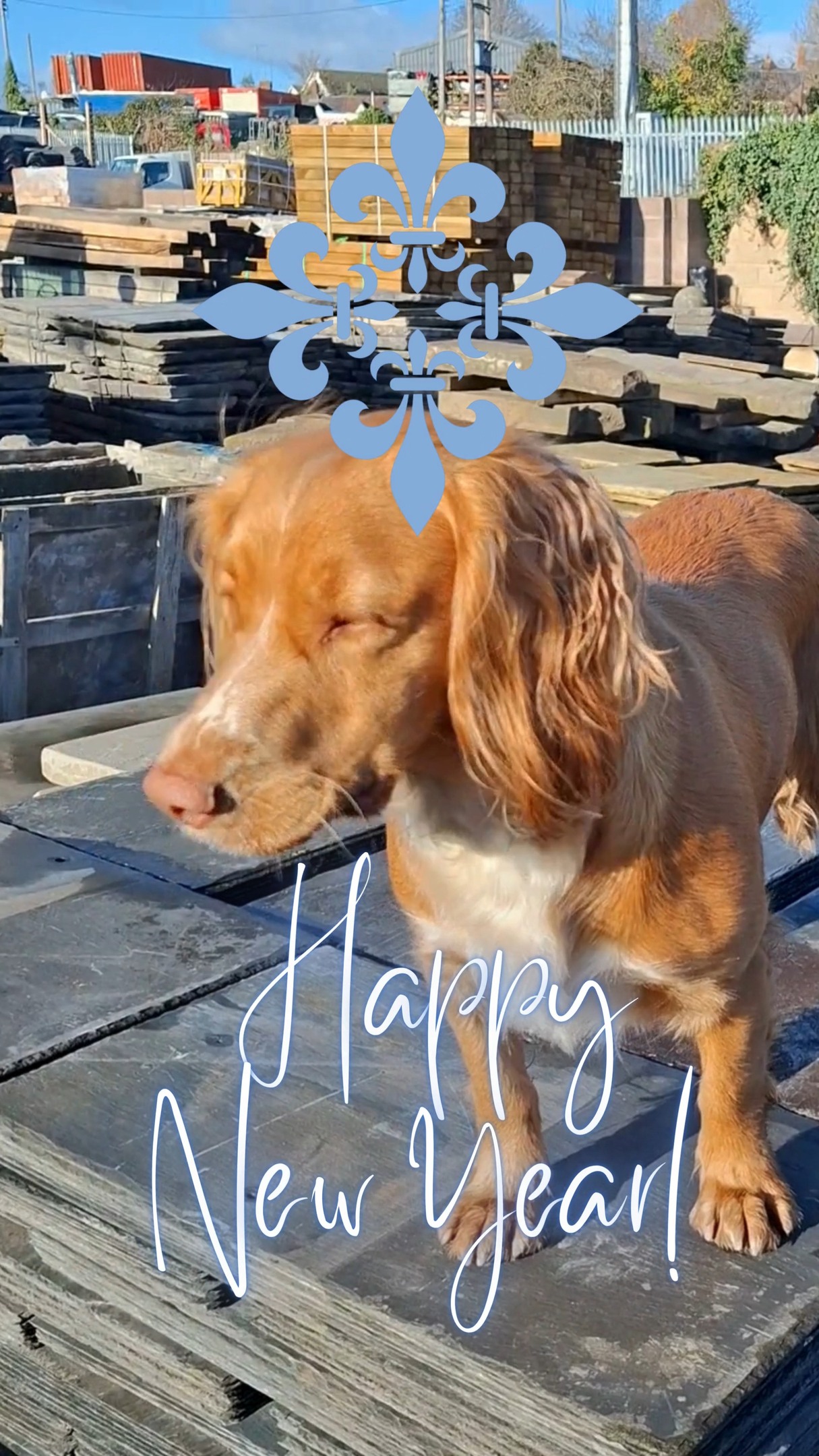 Happy New Year to all our amazing customers and friends. Looking forward to seeing you in 2026! From us all at Ross Reclamation.