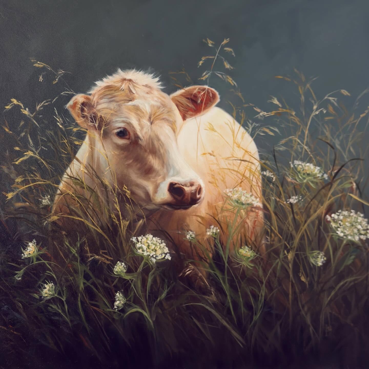 This little sweetie I named “Hope” is available at the @artbytheseabandon gallery in Bandon starting Tuesday. Oil on canvas. A touch of gold paint on some grass to catch the light as you walk by. 24”x24”, 1.5” deep gallery wrapped canvas. No framing needed. This was a joy to paint. I love the personality of sweet little cows. Innocent and gentle.