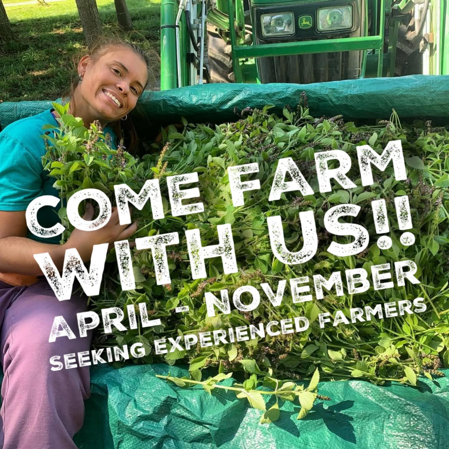 Want to farm with us?! We are getting ready for the 2026 season and have a few select positions opening. Looking for an experienced farmer and have a few farm crew positions we are looking to fill. Email for a more detailed job description to Lancasterfarmacy@gmail.com.