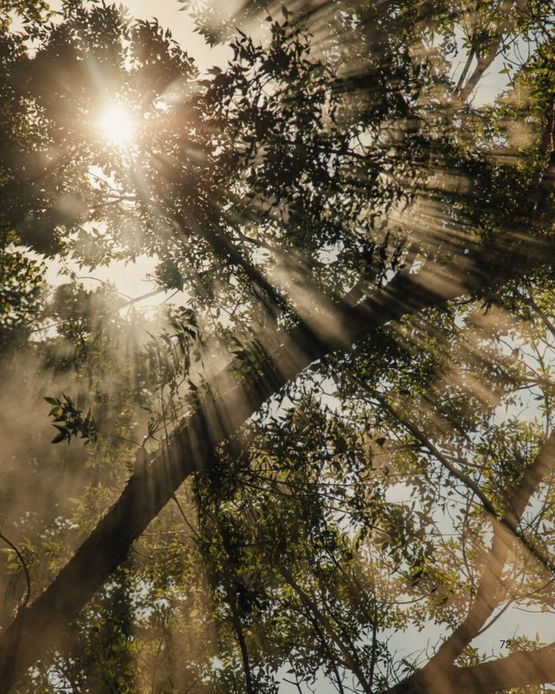 A new year always feels like a fresh start.
More light and more possibility. Space to slow down, breathe a little deeper, and imagine what’s next...
At The Avenues Estate, every avenue leads to possibility.
Could this be the year you call this corner of Hilton your new home?
Wishing you a happy and hopeful New Year ✨
If you’d like to explore life at The Avenues, get in touch with our agents, they’d love to chat.
@harcourts_hilton
📞 Brian Wilkes - 082 417 6166
@pgp_midlands
📞 Bridget Erskine - 082 783 8029
@seeff_midlands
📞 Joan Ridl - 072 022 4484