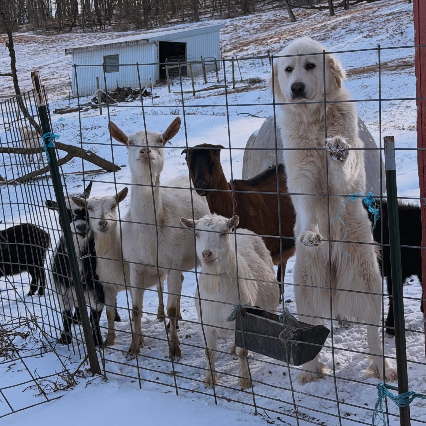 Happy New Year everyone!