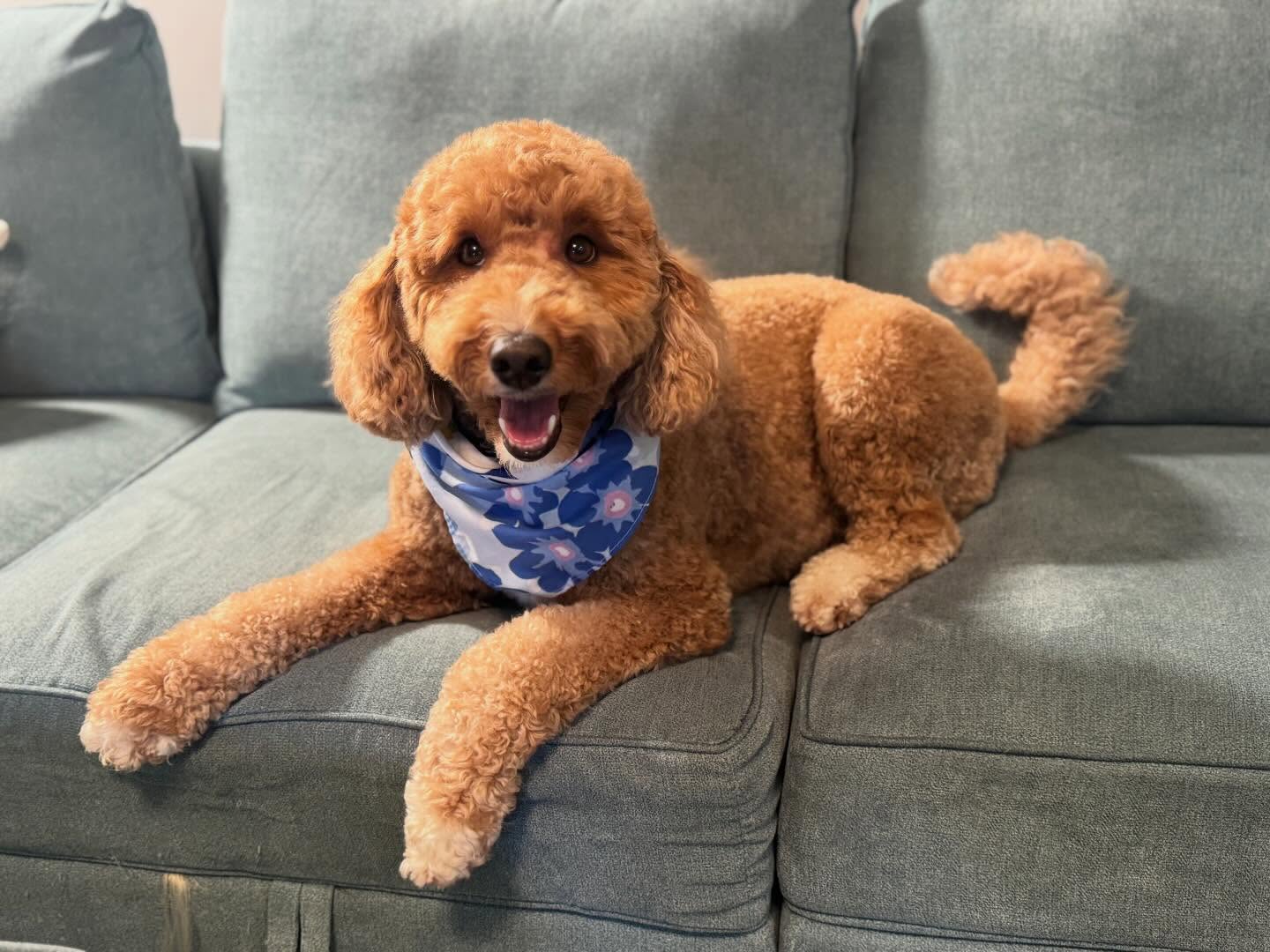 Peaches 🥰
#gorgeousgirl